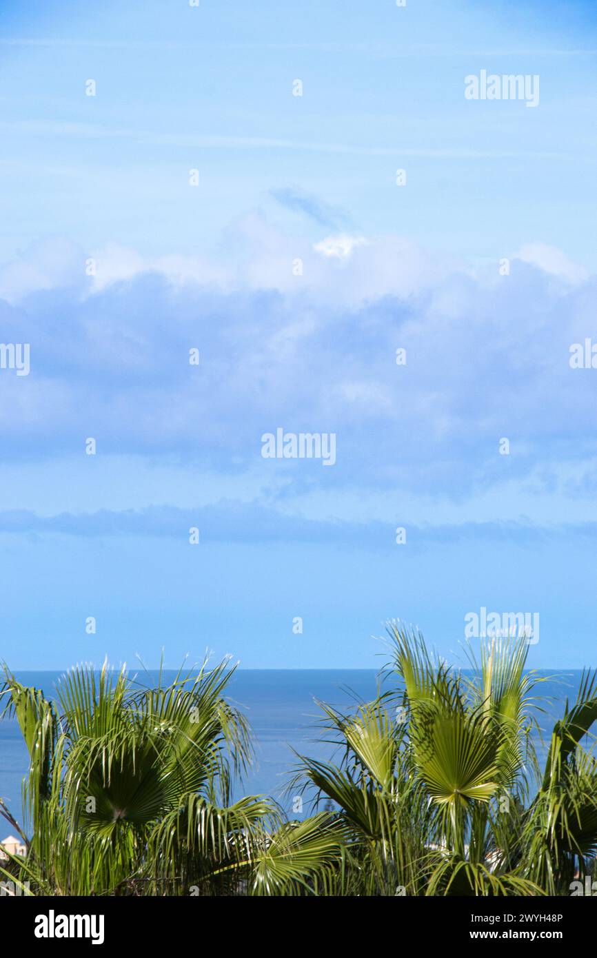 Horizont des Meeres mit Palmblättern im Vordergrund und blauem Himmel mit Wolken im Mittelmeer. Stockfoto