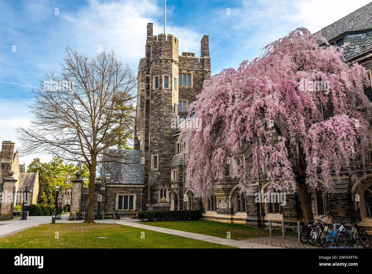Princeton, NJ, USA - 03-31-2024: Blick auf das alte Gebäude des Campus der Princeton University in der Frühlingsblüte Stockfoto
