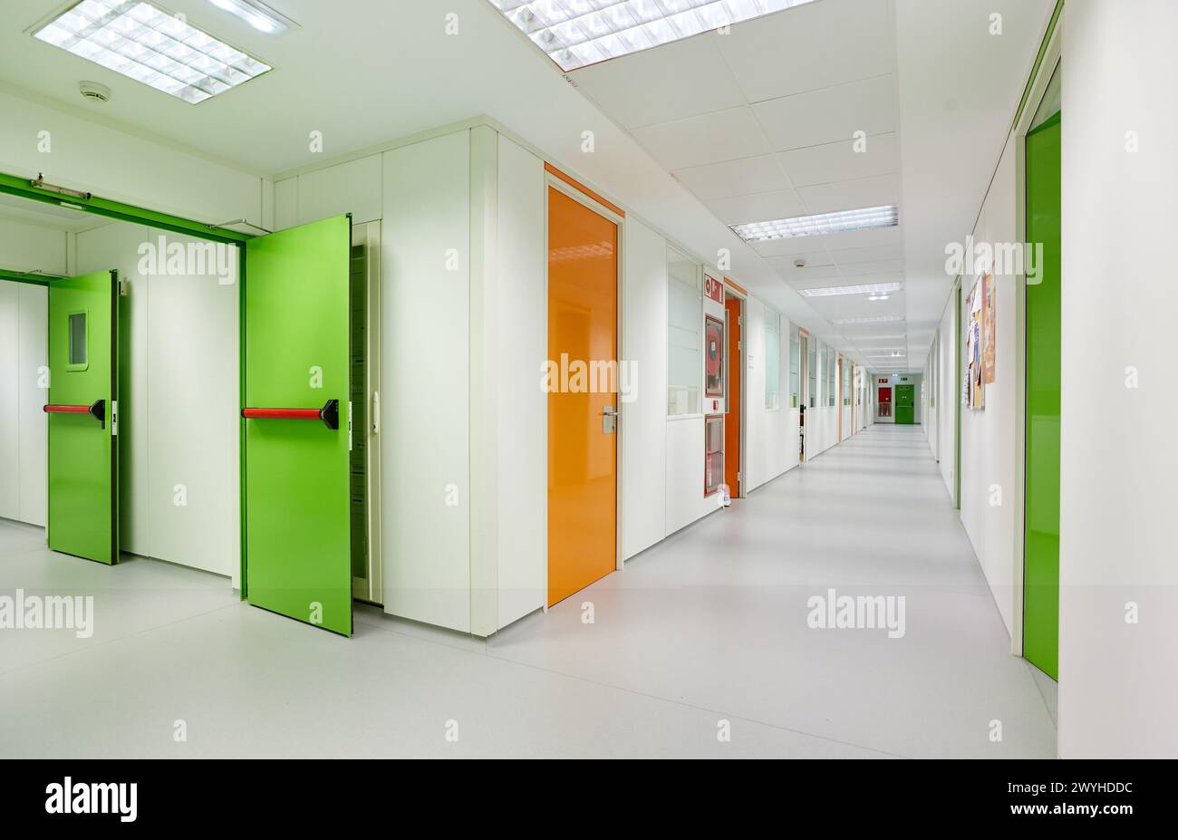 Anatomische Pathologie, Krankenhaus Donostia, San Sebastian, Gipuzkoa, Baskenland, Spanien. Stockfoto