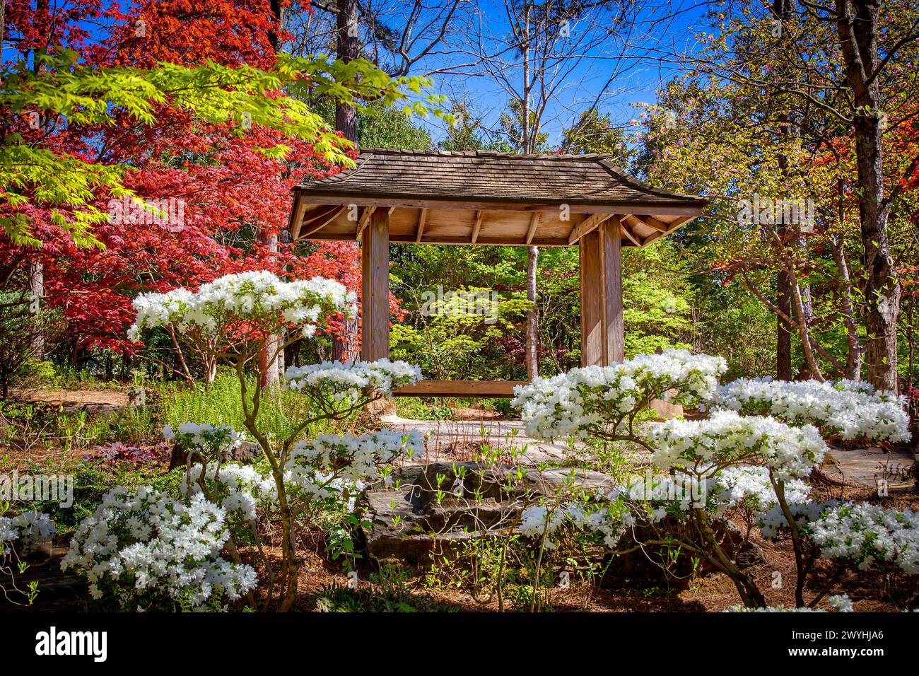 Gibbs Gardens Stockfoto