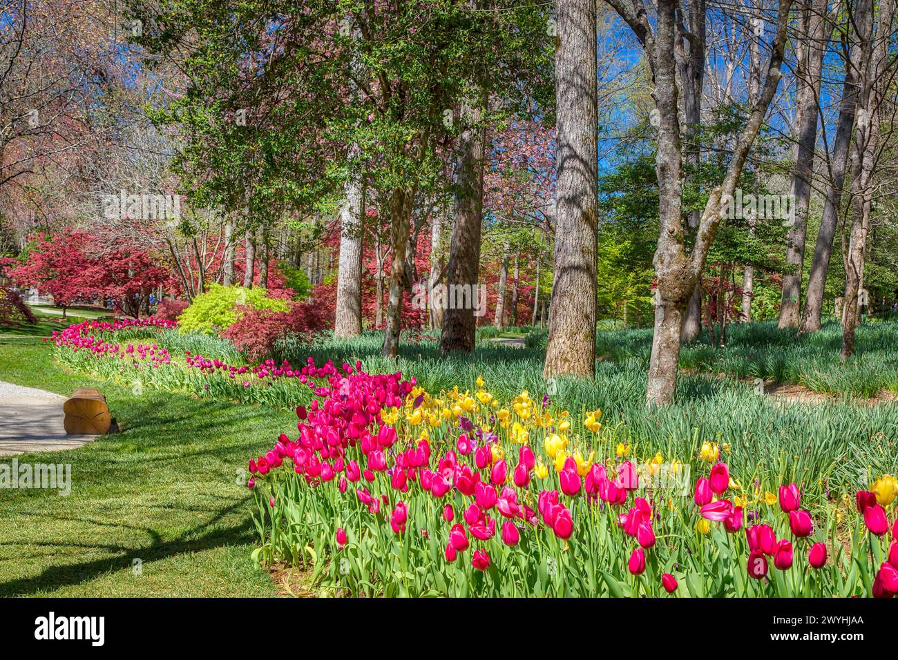 Gibbs Gardens Stockfoto