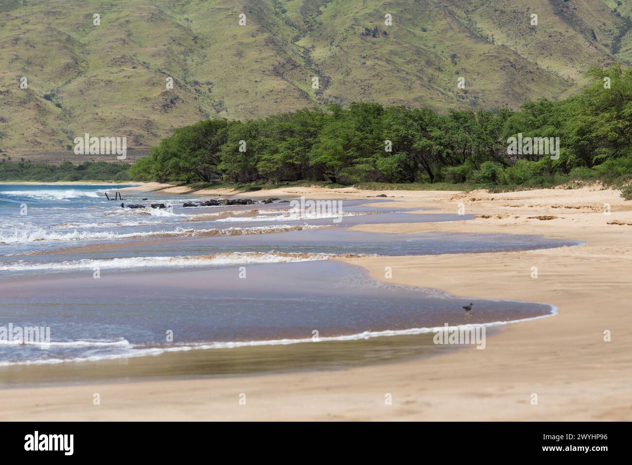 Sand und Surfen Sie am Palalau Beach westlich von Kihei auf der tropischen Insel Maui, Hawaii Stockfoto