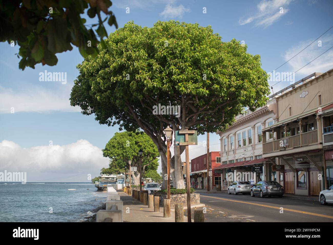 Szenen aus dem malerischen Dorf und den Straßen von Lahaina auf der polynesischen Insel Maui, Hawaii, Bilder, die vor den verheerenden Bränden von 2023 aufgenommen wurden Stockfoto