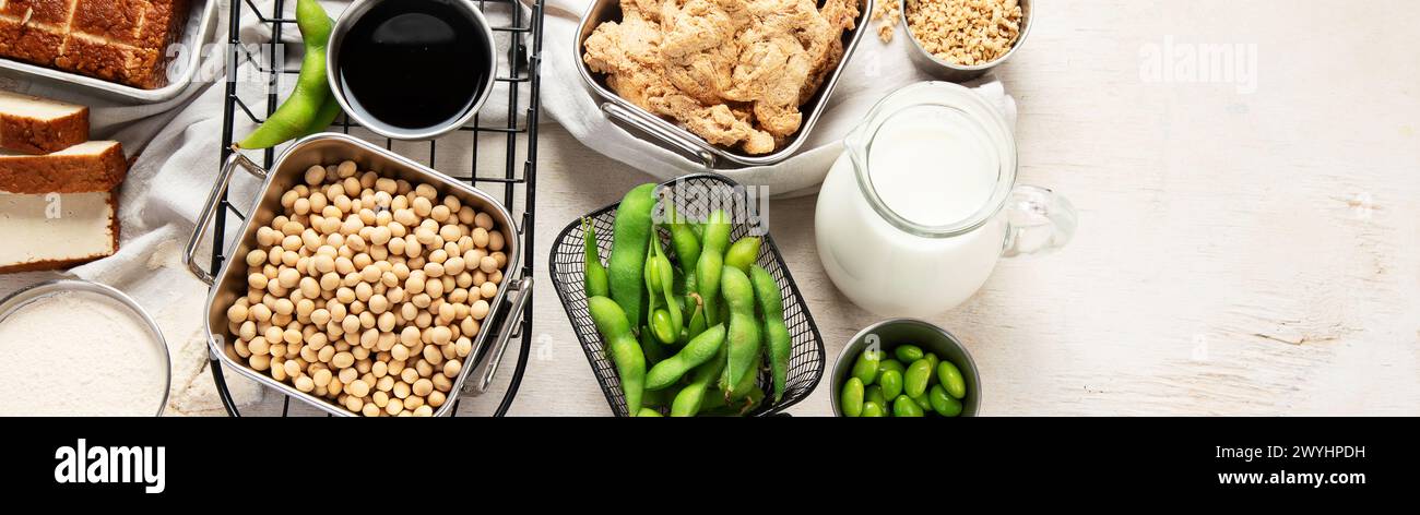 Verschiedene Sojaprodukte mit Sojabohnen, Tofu, Sojasauce und Sojamilch auf hellem Hintergrund. Draufsicht. Panorama mit Kopierbereich. Stockfoto