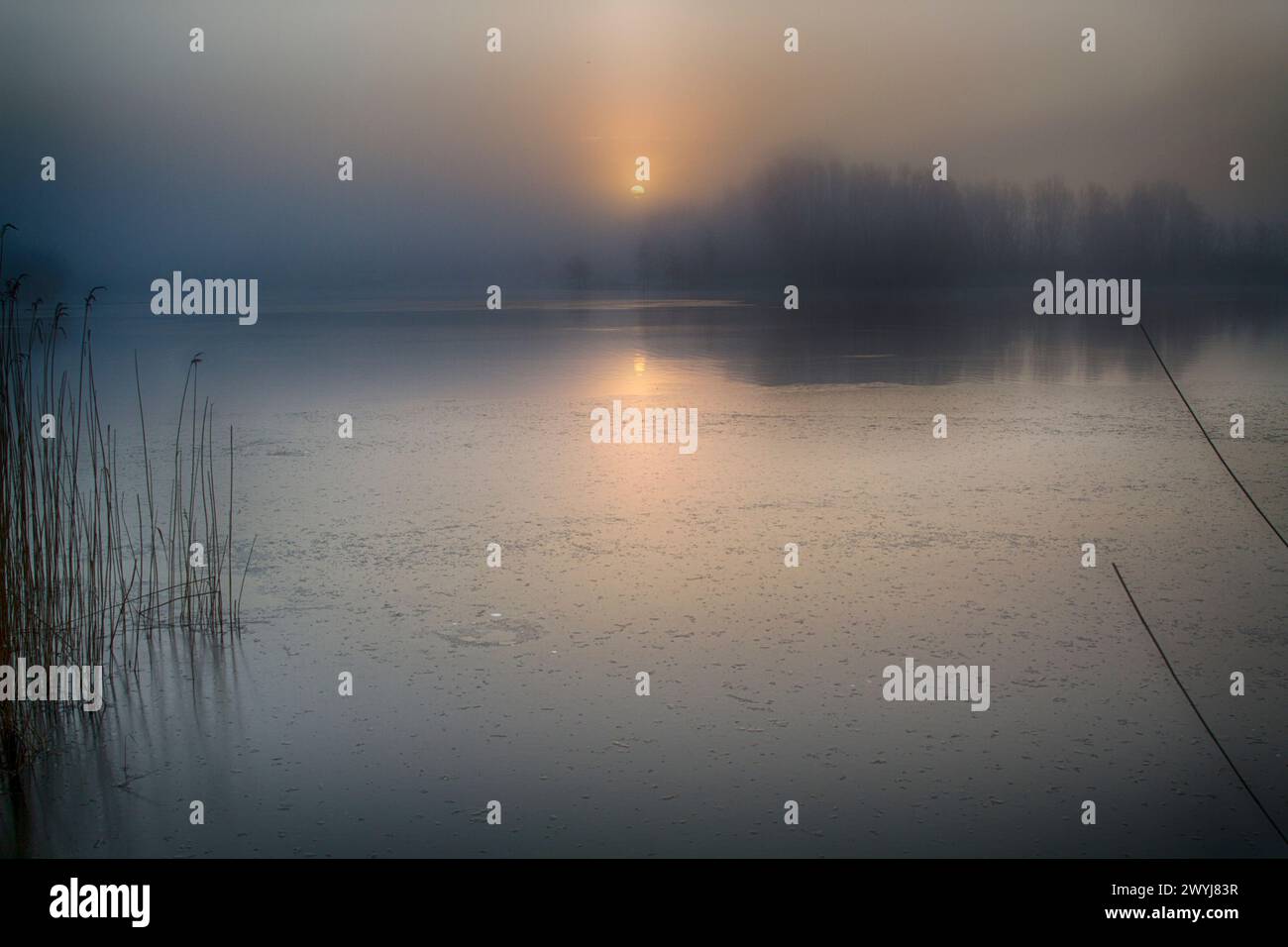 Schöner nebeliger Morgen über dem Otterndorfer See. Stockfoto