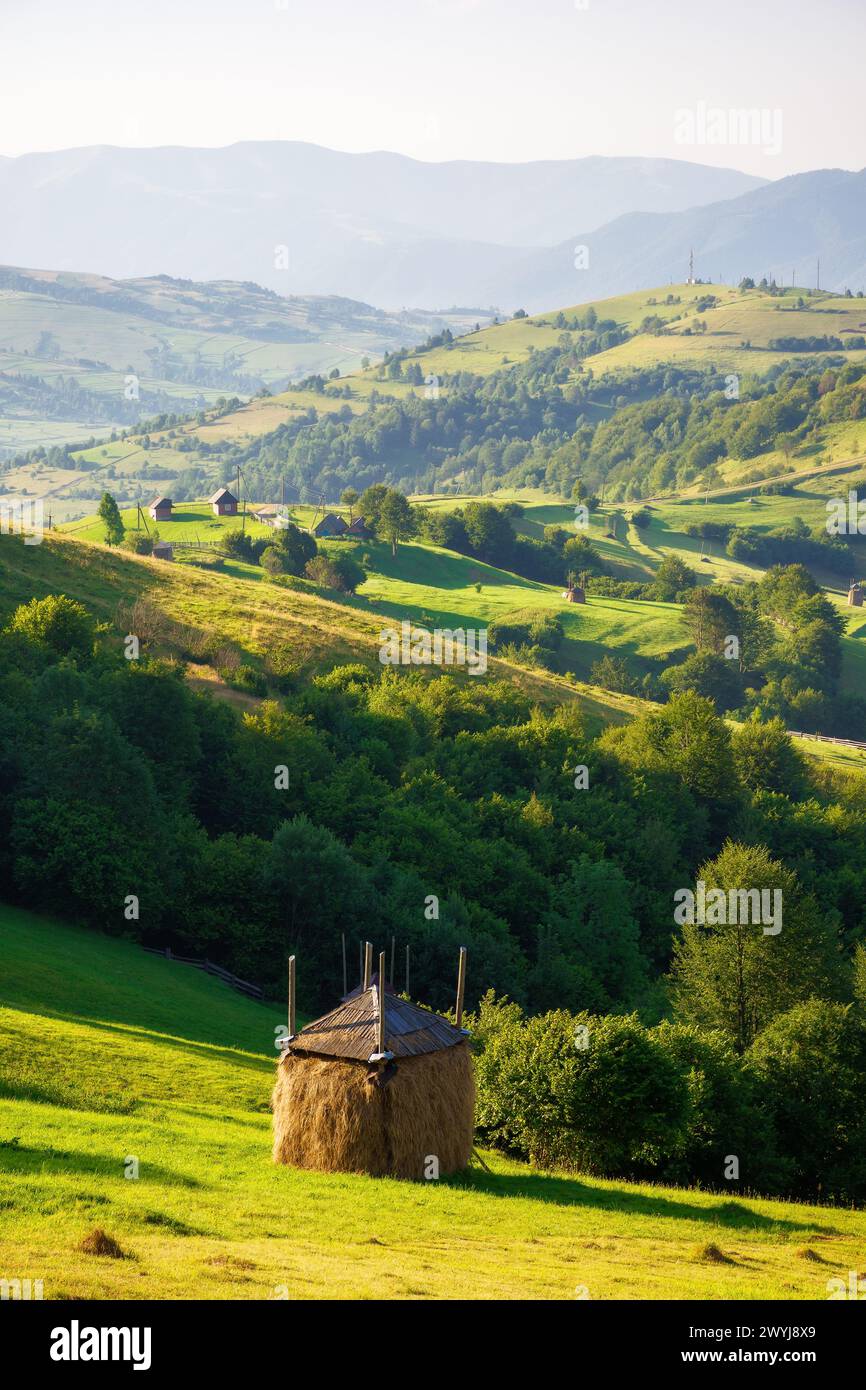 Heuhaufen auf dem grasbewachsenen Hügel. Bergige ländliche Landschaft der ukraine, die an einem sonnigen Morgen im Sommer in die Ferne rollt Stockfoto
