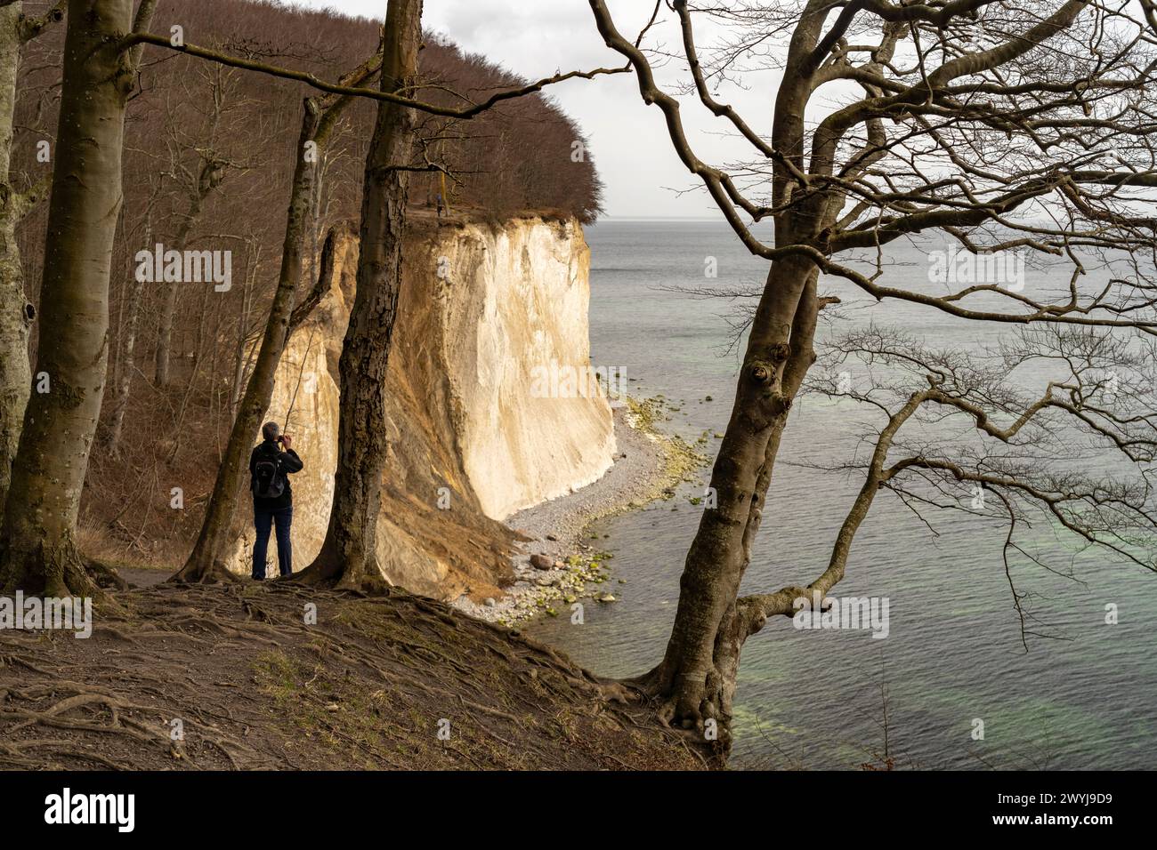 Ein Besucher fotografiert die berühmten Kreidefelsen an der Ostseeküste im Nationalpark Jasmund, Insel Rügen, Mecklenburg-Vorpommern, Deutschland | Stockfoto