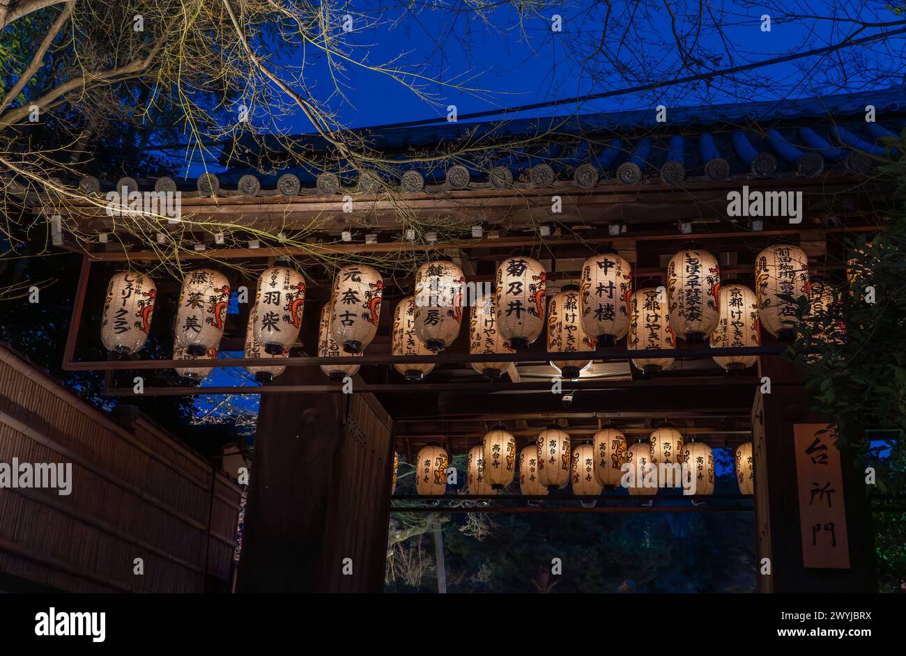 Nächtliche Beleuchtung in Tempeln während der Kirschblüten-Sakura-Saison und Festivals in Kyoto, Japan Stockfoto