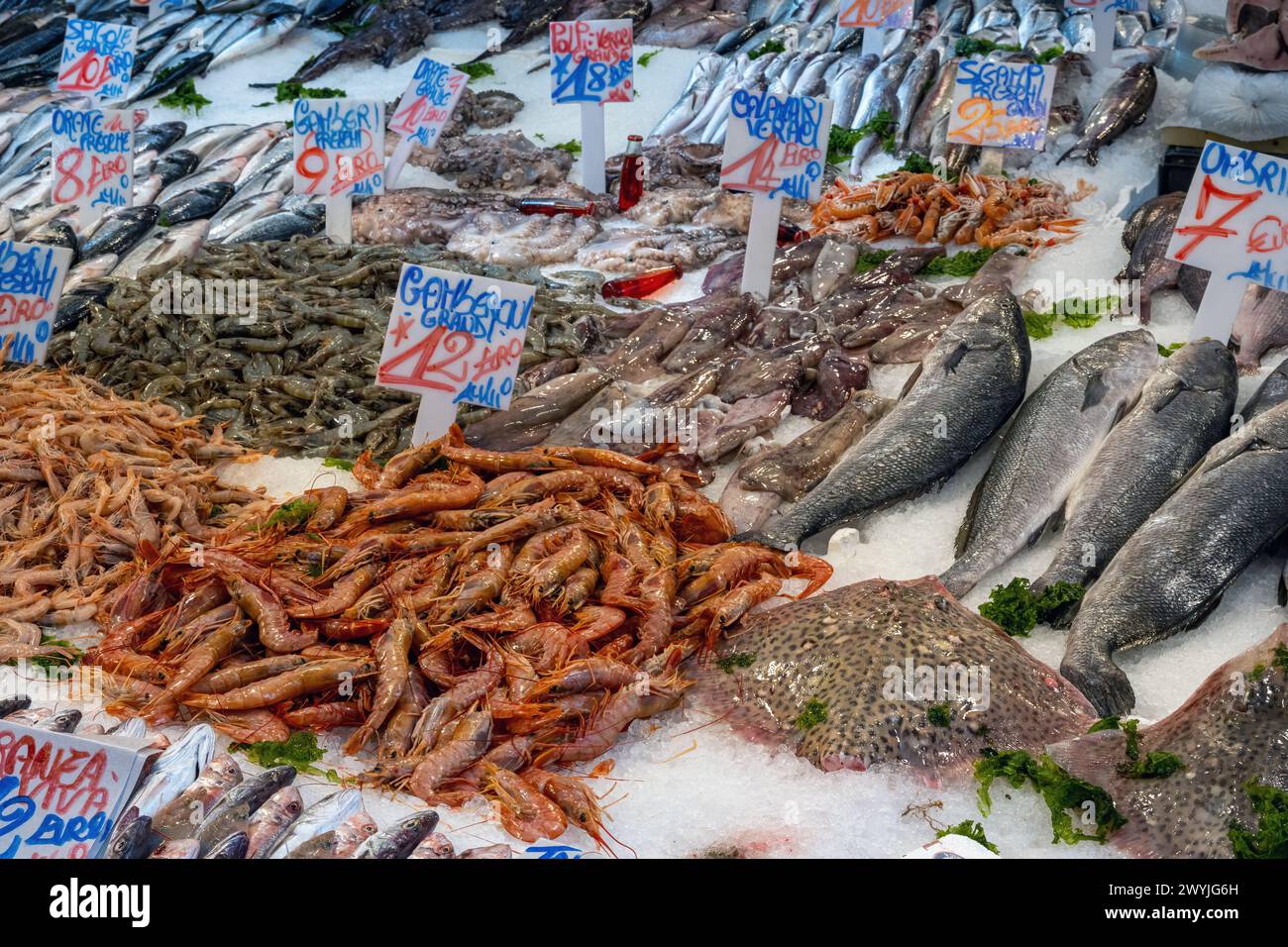 Fisch und Meeresfrüchte zum Verkauf auf einem Markt in Neapel, Italien Stockfoto