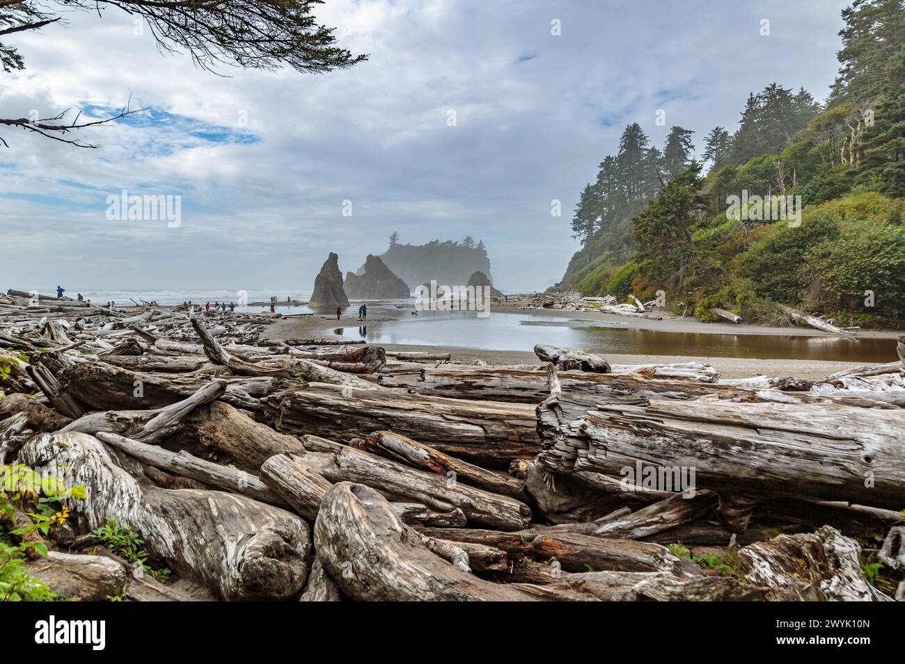 Am Ruby Beach im Olympic National Park in der Nähe von Forks, Washington, spazieren Besucher durch das Treibholz, die Gezeitenbecken und das Meer Stockfoto