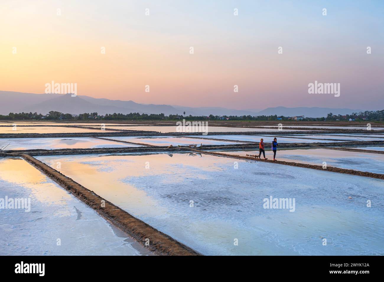 Kambodscha, Kampot Provinz, Kampot, Salzwiesen Stockfoto