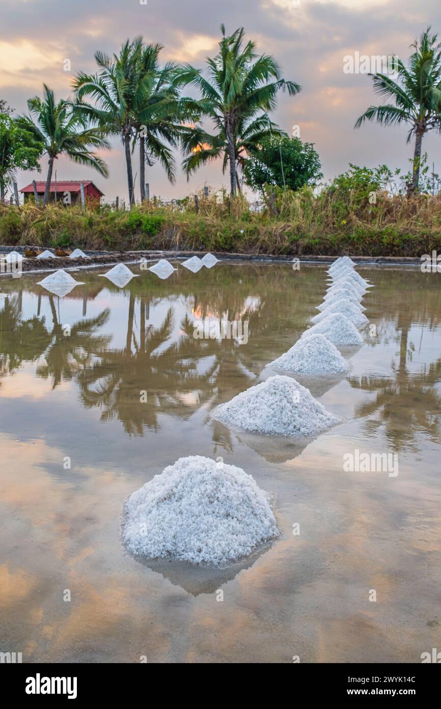 Kambodscha, Kampot Provinz, Kampot, Traeuy Kaoh oder Fish Island, Salzwiesen Stockfoto