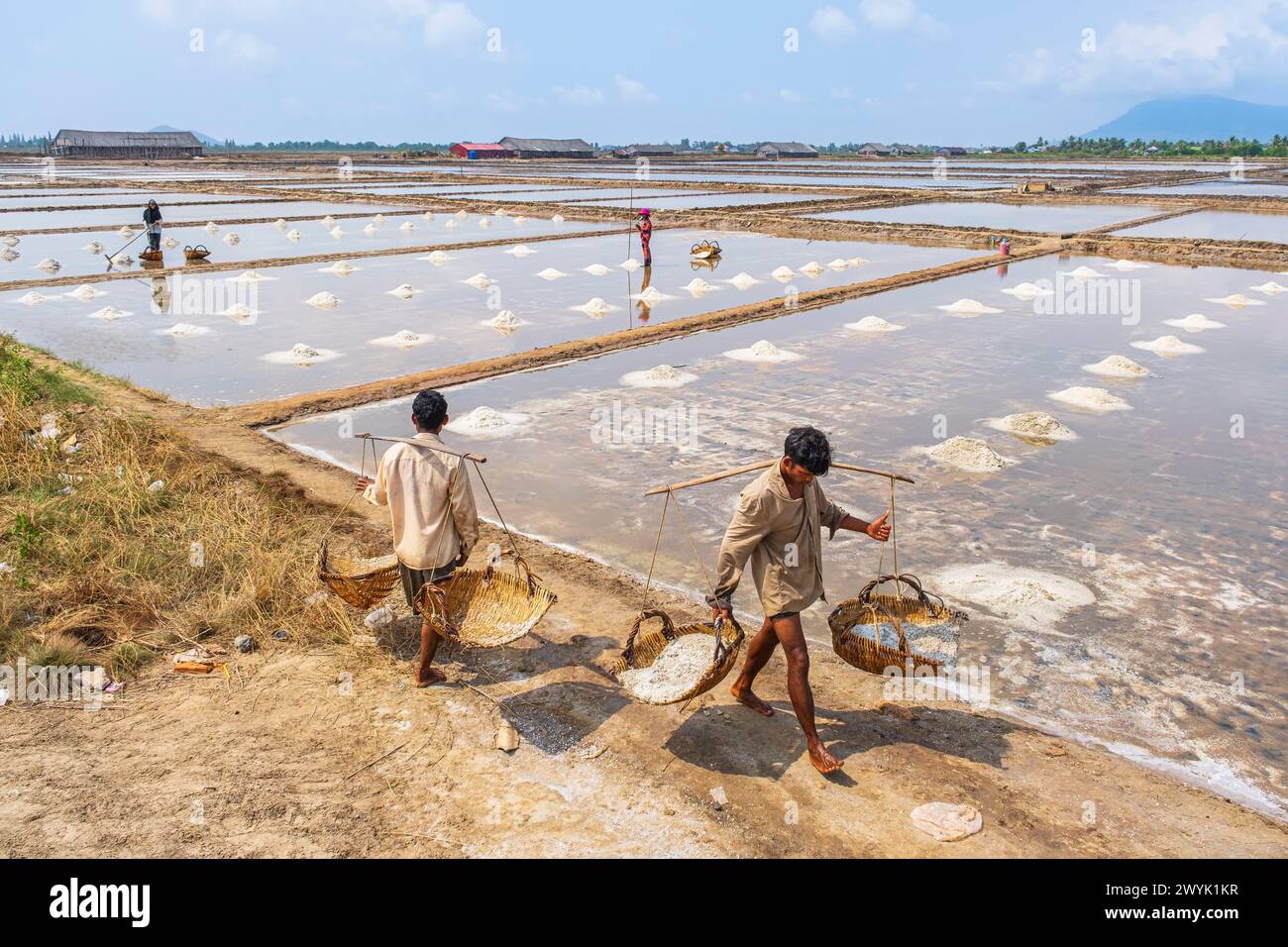 Kambodscha, Kampot, Kampot, Salzwiesen, Salzernte Stockfoto