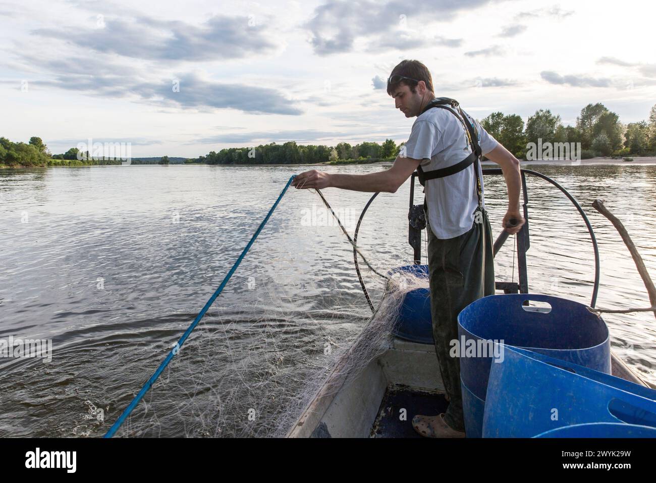 Frankreich, Indre et Loire, Loire-Tal, das von der UNESCO zum Weltkulturerbe erklärt wurde, Bréhémont, Les Pêcheries Ligériens, an der Loire mit Romain Gadais, einem professionellen Fischer aus der Loire, der nachhaltige Fischerei betreibt Stockfoto