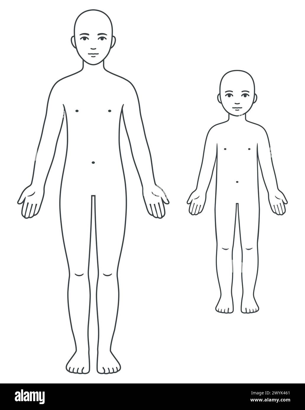 Unisex Körpervorlage für Erwachsene und Kinder. Leeres menschliches Anatomiediagramm für medizinische Infografik. Illustration isolierter Vektorgrafik. Stock Vektor