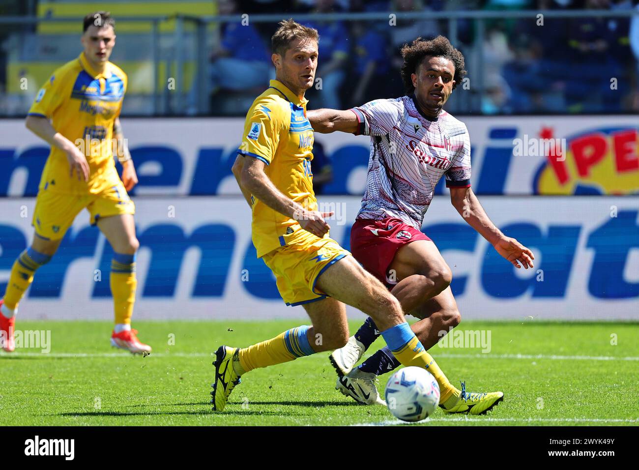 Frosinone, Italien. April 2024. Simone Romagnoli von Frosinone und Joshua Zirkzee von Bologna FC treten um den Ball während des Fußballspiels der Serie A zwischen Frosinone Calcio und Bologna FC im Benito Stirpe Stadion in Frosinone (Italien) am 7. April 2024 an. Quelle: Insidefoto di andrea staccioli/Alamy Live News Stockfoto