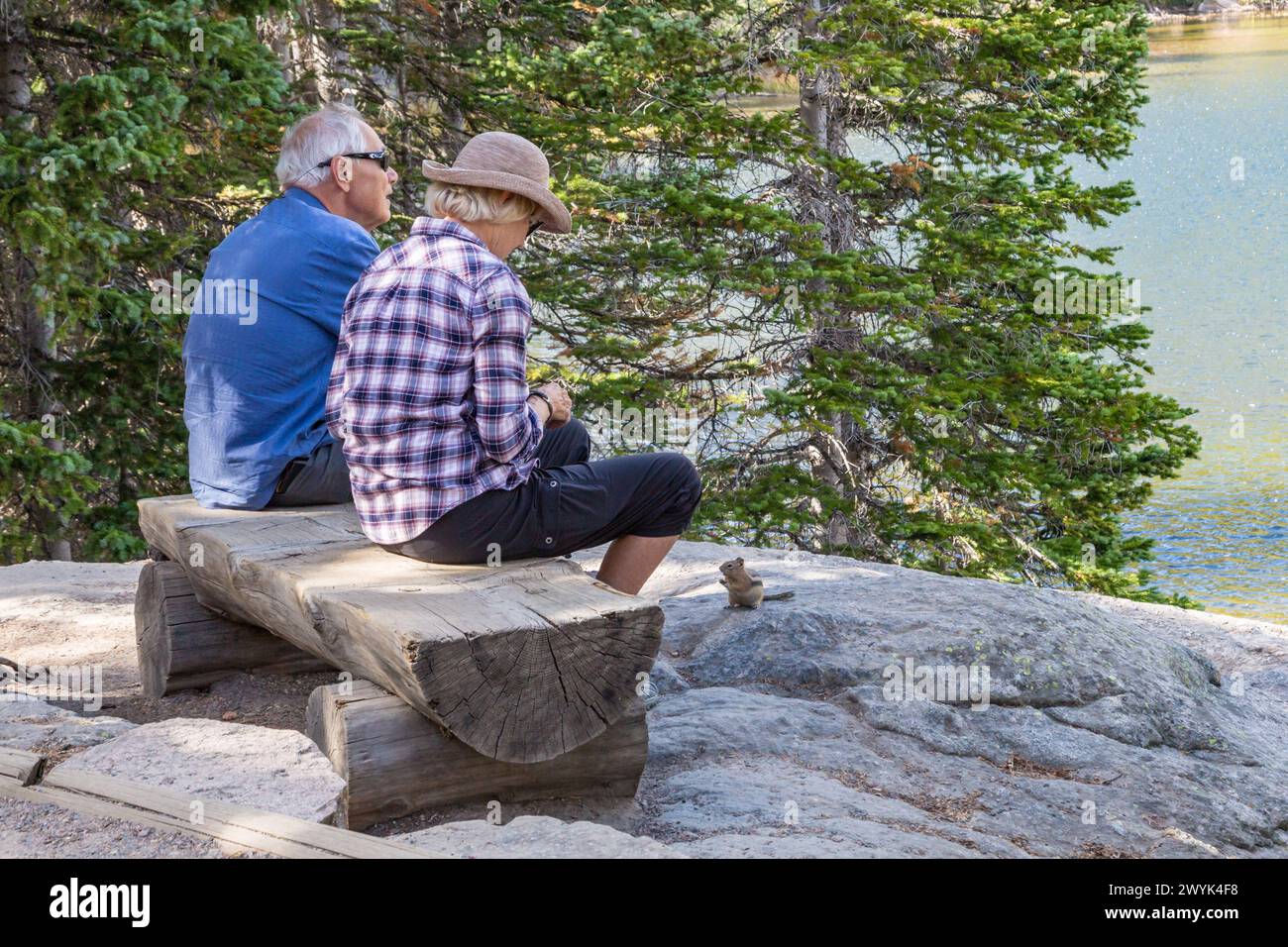 Auf dem Bear Lake Nature Trail im Rocky Mountain National Park, Colorado, sitzen Paare auf einer Bank, die Hackmönche füttern Stockfoto