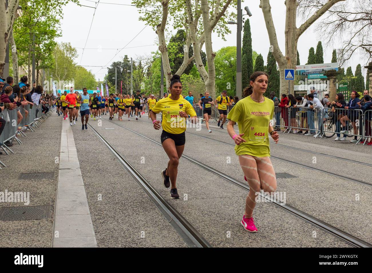 Montpellier, Frankreich. April 2024. Läuferinnen in der dritten Welle, die während des Halbmarathons des Montpellier Run Festivals auf dem Boulevard Henri IV rasen. Credit ReportageMPL/Alamy Live News Stockfoto