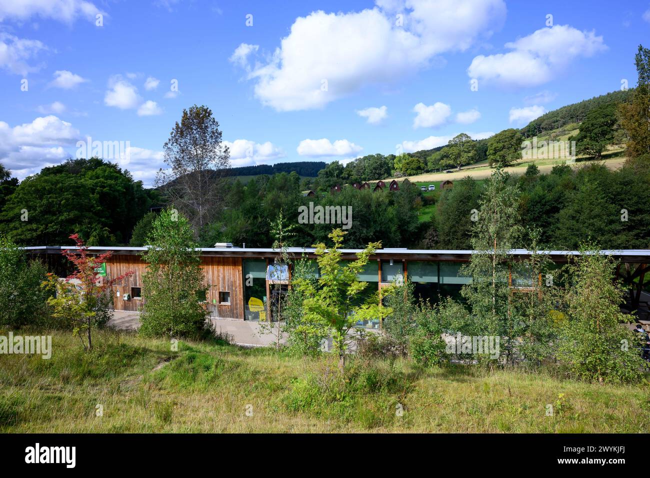 Glentress, Schottland, 7 staaten Mountain Bike Center Stockfoto