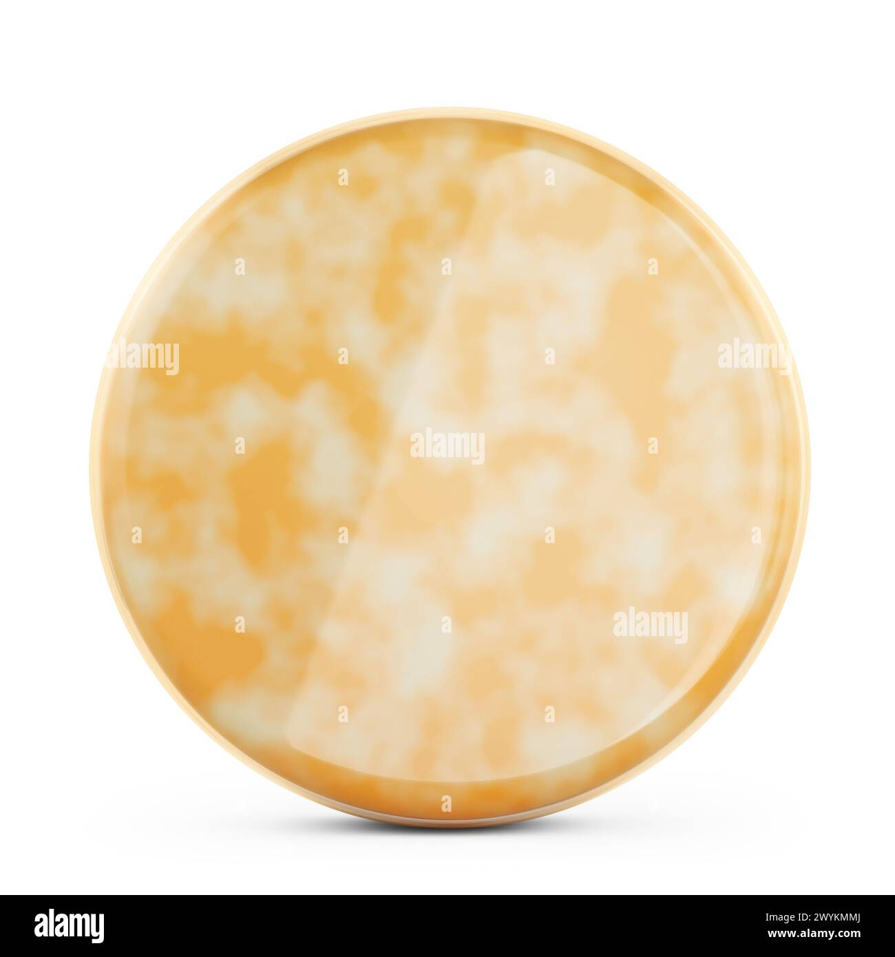 Cheese Wheel Mockup 3D Rendering isolierter Hintergrund Stockfoto