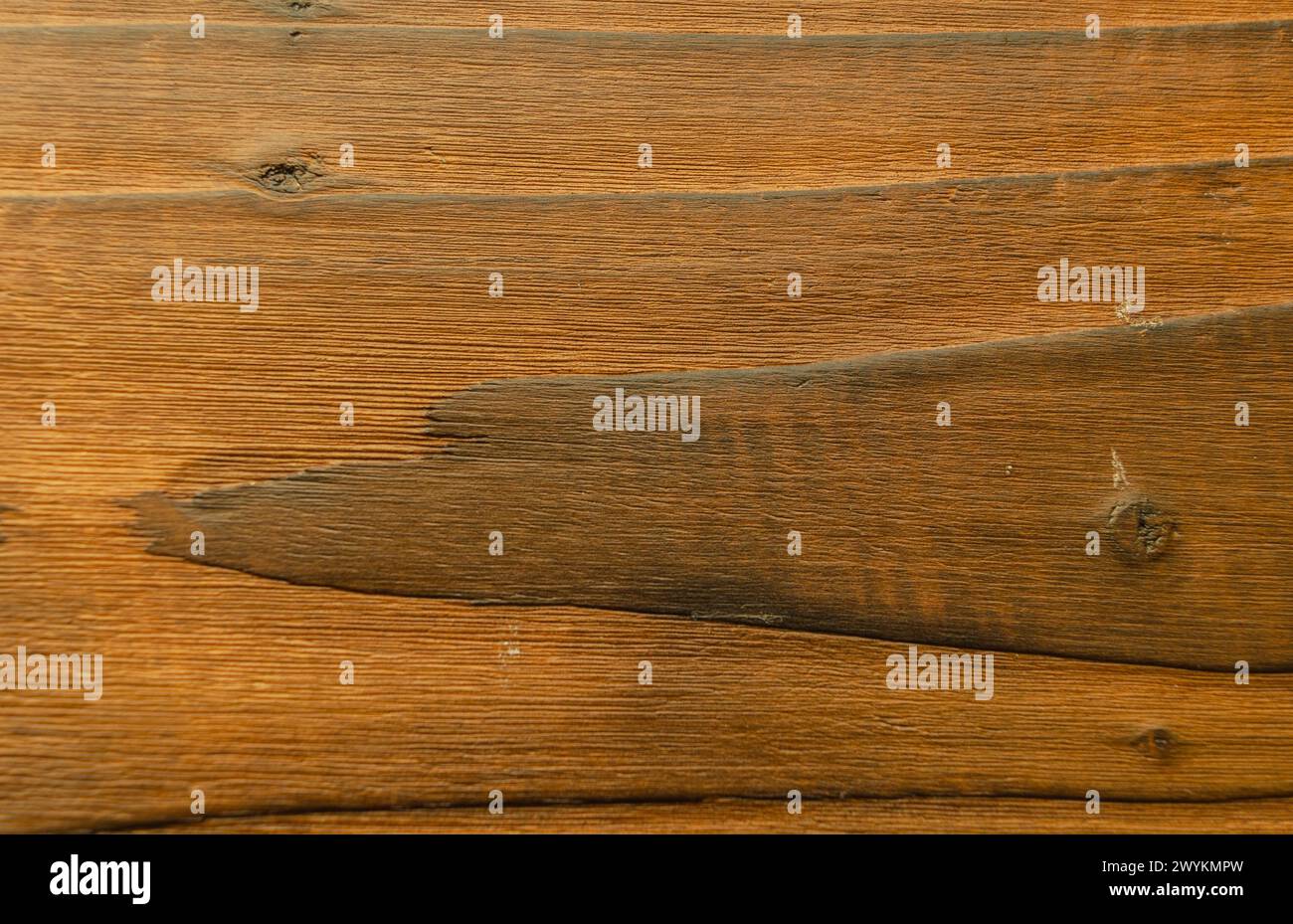 Holz, das nach dem japanischen Shou sugi-Verbot durch Verbrennen und Ölen behandelt wurde, um es wetterfest zu machen und das Korn herauszuholen Stockfoto