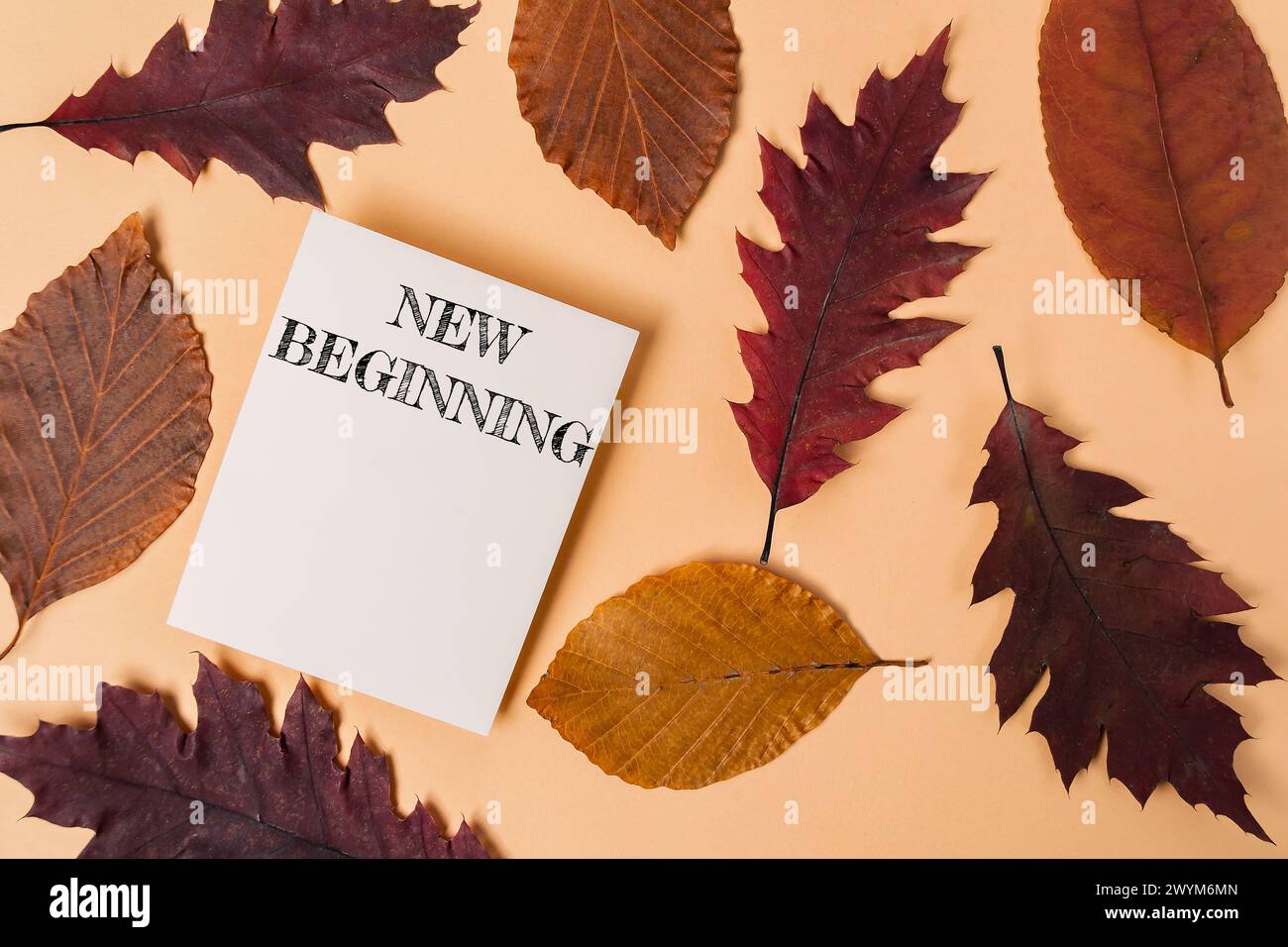 Ein weißes Stück Papier mit der Aufschrift „New Beginning“ wird auf einen Stapel Herbstblätter gelegt Stockfoto