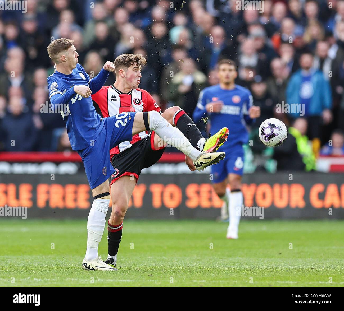 Bramall Lane, Sheffield, Großbritannien. April 2024. Premier League Football, Sheffield United gegen Chelsea; Oliver Arblaster von Sheffield United übergibt den Ball unter Druck von Cole Palmer aus Chelsea. Credit: Action Plus Sports/Alamy Live News Stockfoto