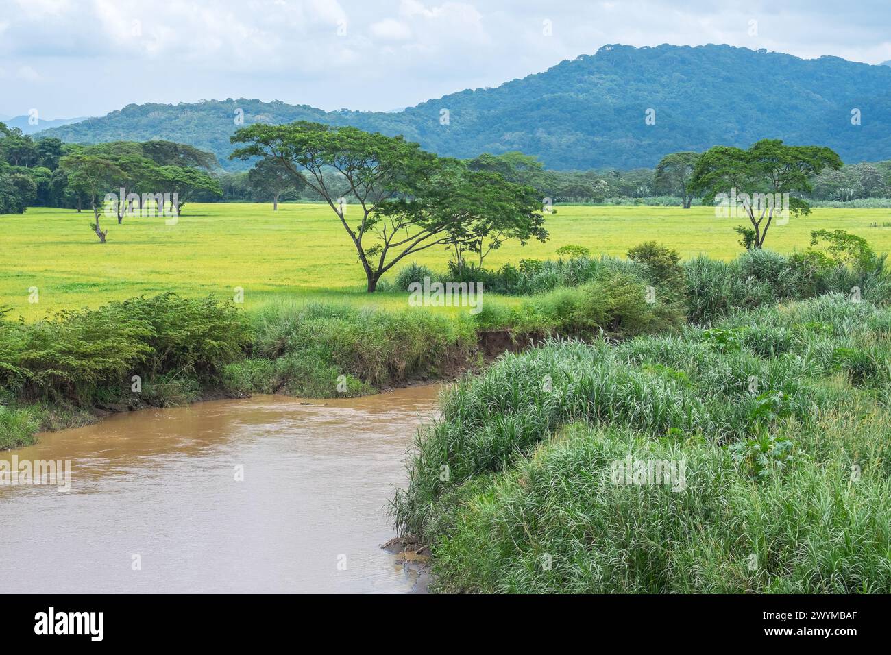 Landschaft und Tarcoles River in Puntarenas, Costa Rica Stockfoto