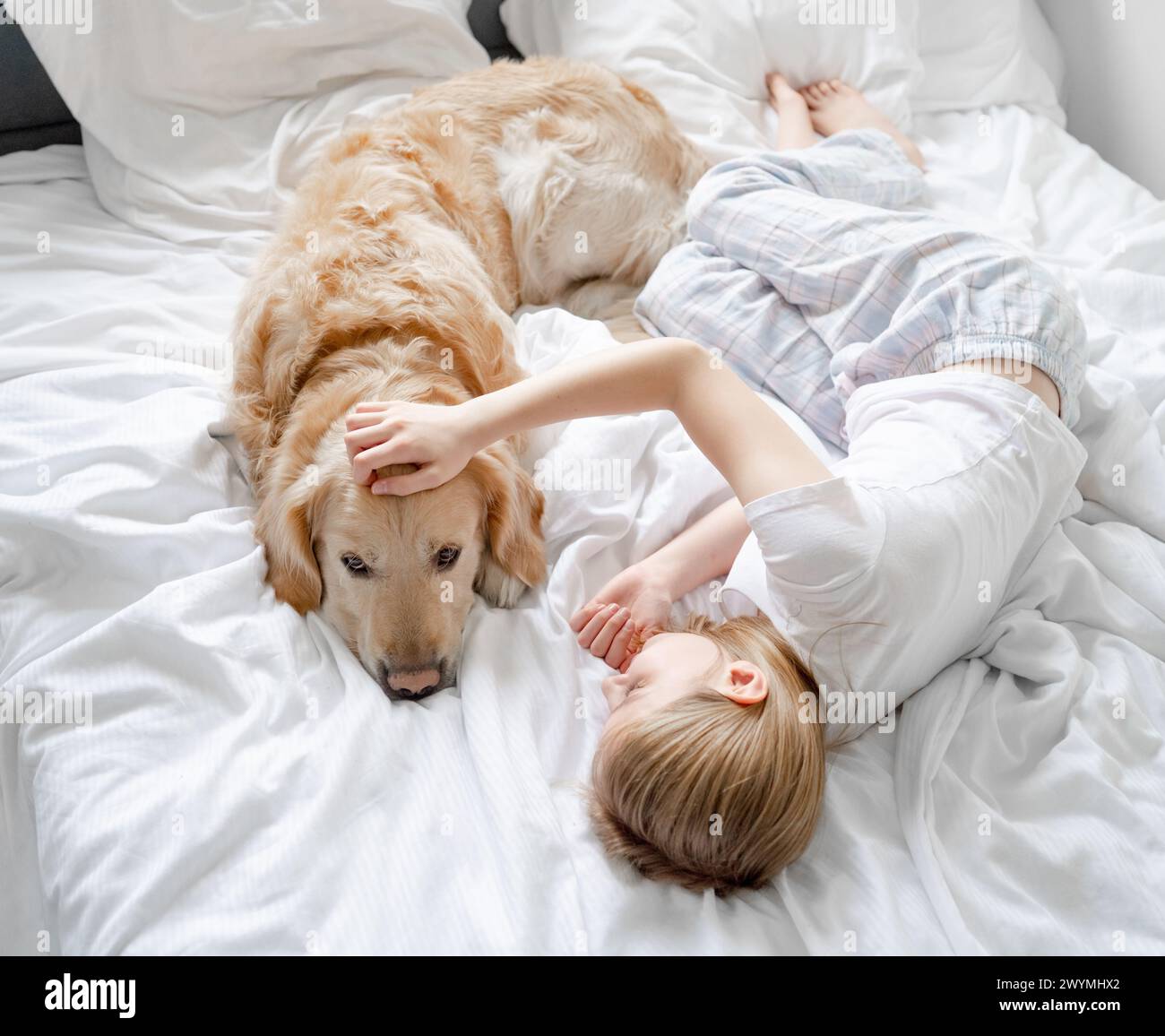 Das Kleine Mädchen Liegt Auf Dem Bett Und Spielt Mit Dem Golden Retriever Dog Auf Weißem Bettzeug Stockfoto