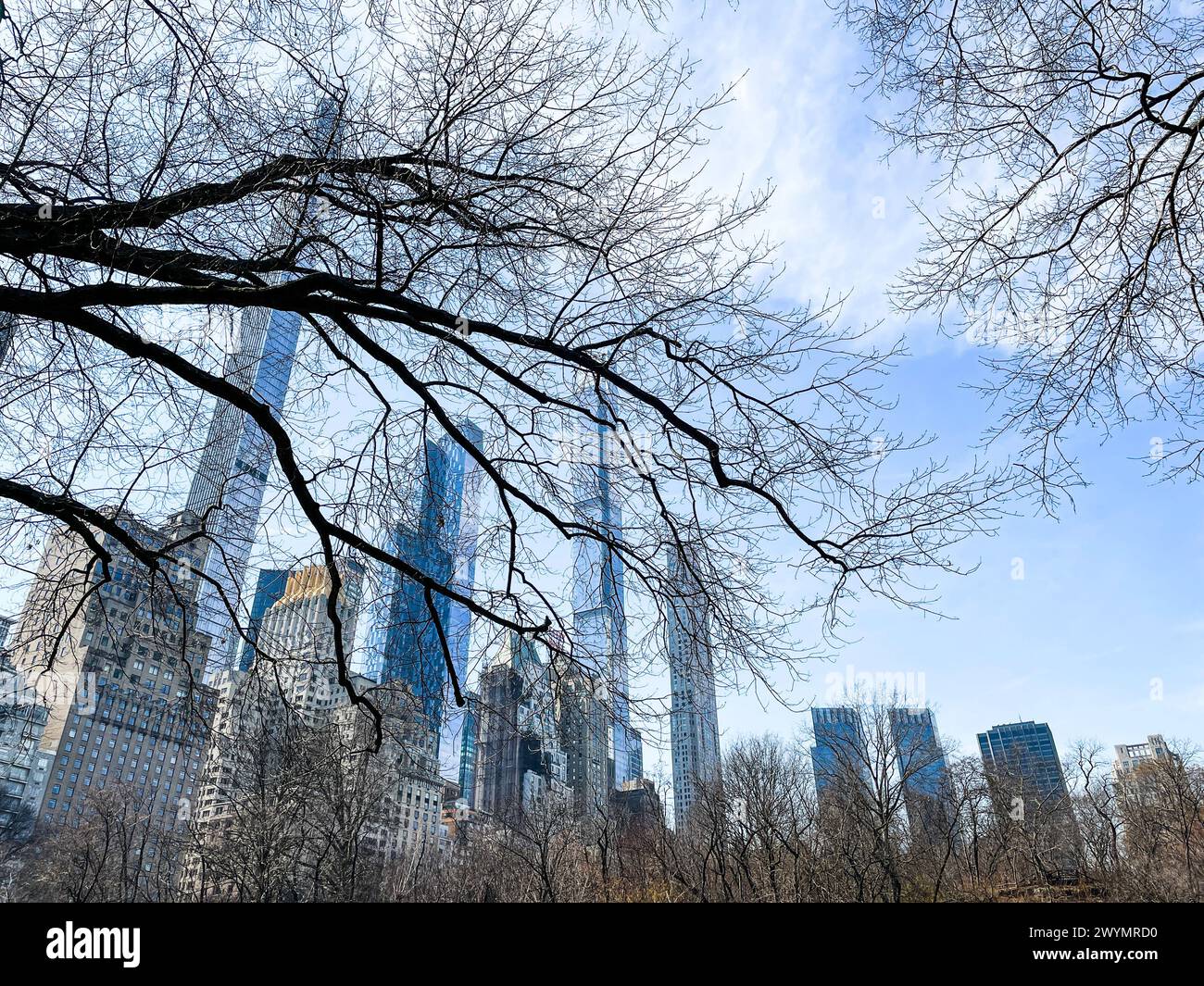 Superhohe Wohnungen entlang des Central Park South werden Billionaires Row genannt, wie vom Teich im Central Park, 2024, NYC, USA, aus gesehen Stockfoto