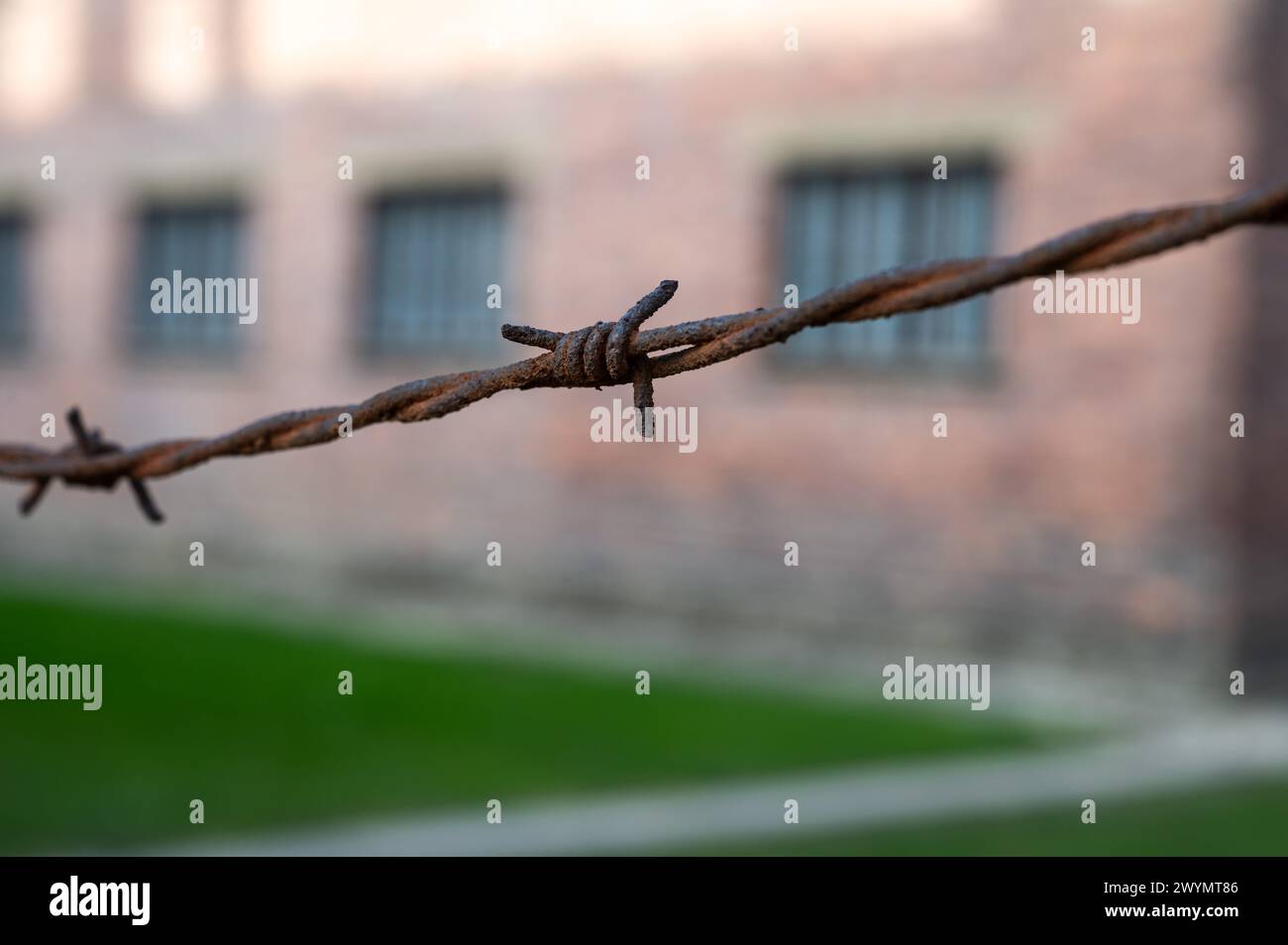 Auschwitz, Polen, 21. März 2024 - Nahaufnahme des Stacheldrahtes in den Konzentrationslagern Stockfoto