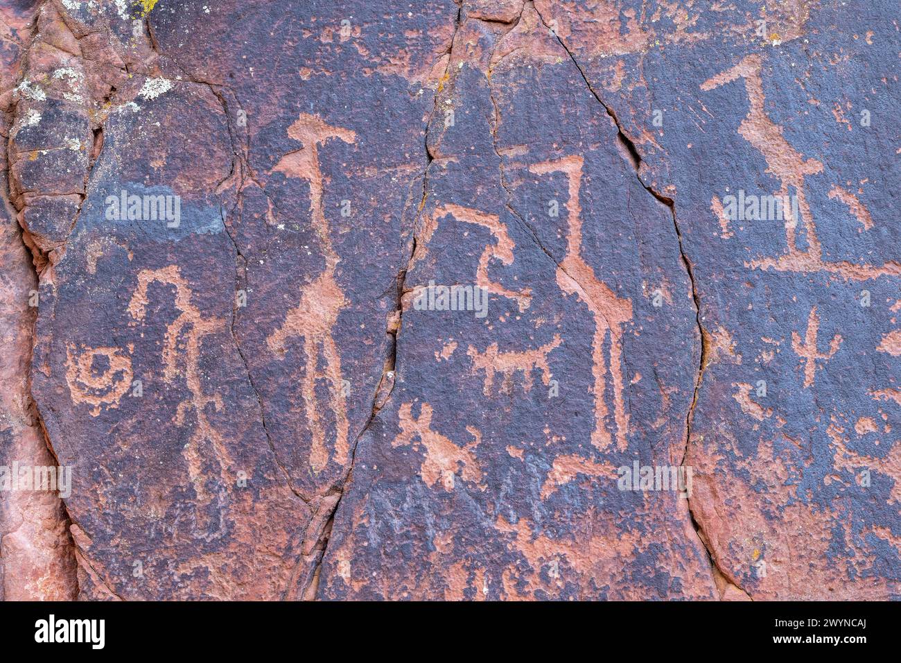Sinagua-Indische Petroglyphen (1150-1400 n. Chr.). V-Bar-V Ranch Kulturerbe. Rimrock, Arizona, von Dominique Braud/Dembinsky Photo Assoc Stockfoto