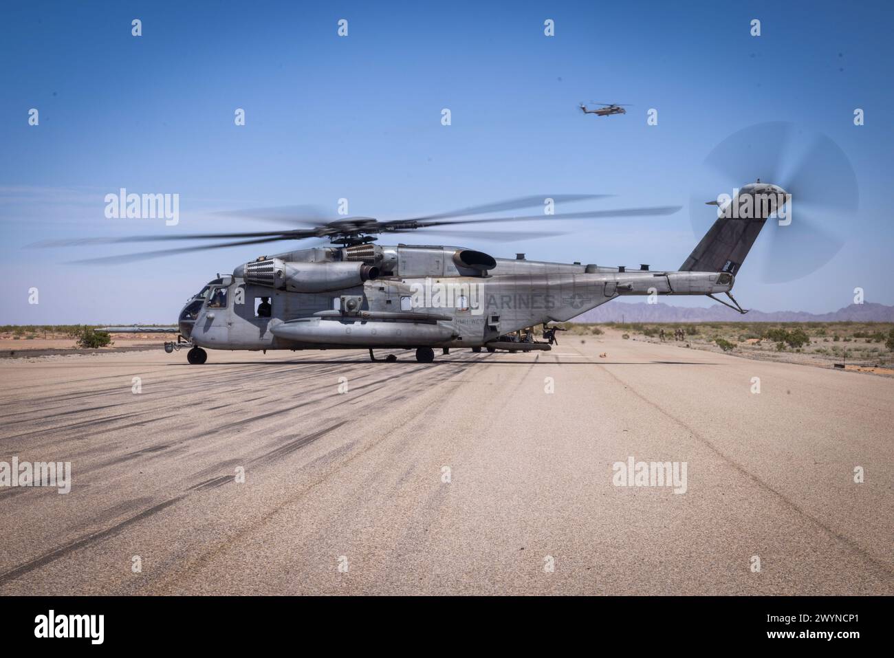 Ein US-Marine Corps CH-53E Super Hallion Hubschrauber, der der Marine Aviation Weapons and Tactics Squadron One zugeordnet ist, bereitet sich auf den Start während einer externen Aufzugsübung im Rahmen des Weapons and Tactics Instructor Courses 2-24, auf dem Auxiliary Airfield II, nahe Yuma, Arizona, am 29. März 2024 vor. WTI ist ein Kurs für Fortgeschrittene, der fortgeschrittene taktische Schulungen zur Verbesserung und Anwendung fortgeschrittener Luftwaffen und -Taktiken bietet. (Foto des U.S. Marine Corps von CPL. Gabriela Garcia-Gregorio) Stockfoto