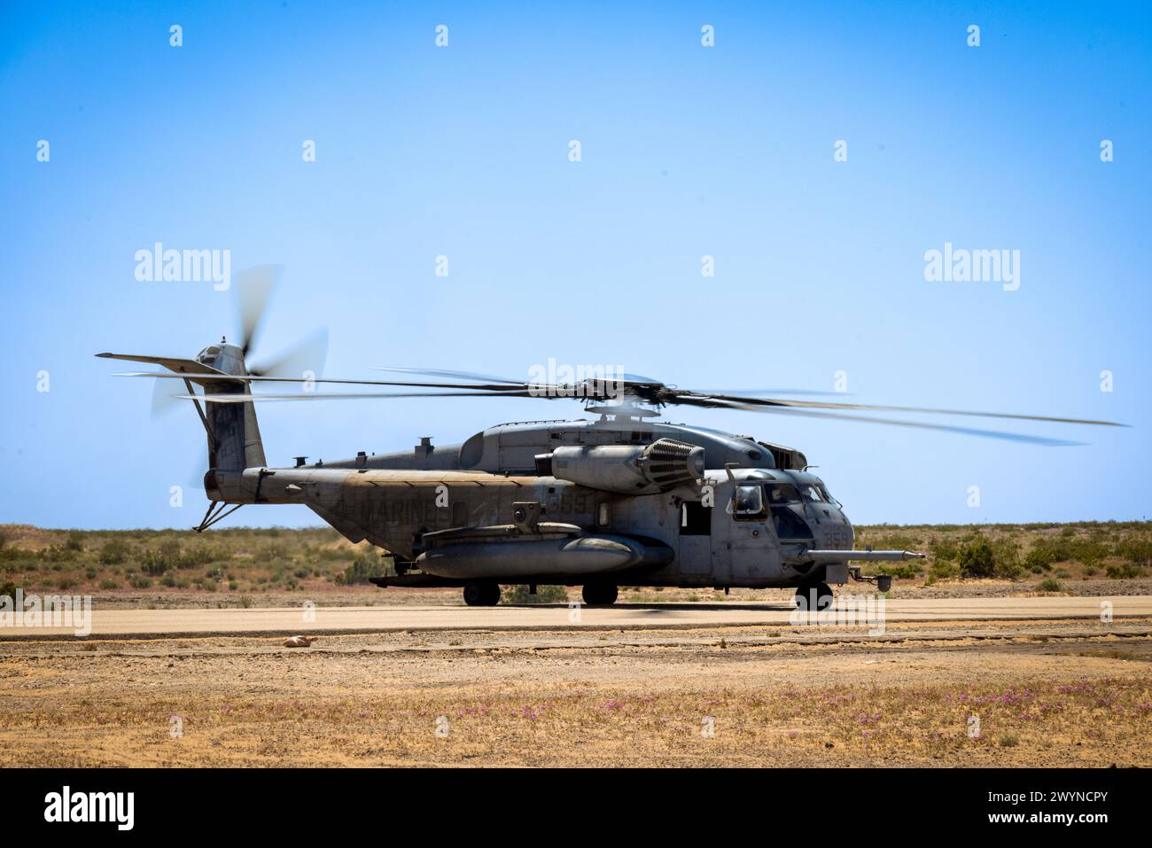 Ein US-Marine Corps CH-53E Super Hallion Hubschrauber, der der Marine Aviation Weapons and Tactics Squadron One zugeordnet ist, bereitet sich auf den Start während einer externen Aufzugsübung im Rahmen des Weapons and Tactics Instructor Courses 2-24, auf dem Auxiliary Airfield II, nahe Yuma, Arizona, am 29. März 2024 vor. WTI ist ein Kurs für Fortgeschrittene, der fortgeschrittene taktische Schulungen zur Verbesserung und Anwendung fortgeschrittener Luftwaffen und -Taktiken bietet. (Foto des U.S. Marine Corps von CPL. Gabriela Garcia-Gregorio) Stockfoto