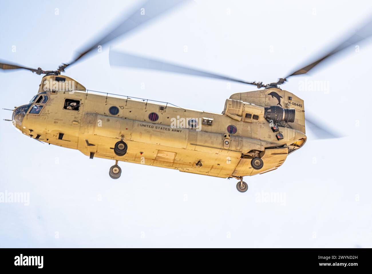 Eine CH-47, die dem General Support Aviation Battalion 3-82, der 82. Kampfluftbrigade, der 82. Luftlandedivision, zugeteilt wurde, fliegt am 6. April 2024 über Kopf. (Foto der US-Armee von Sgt. Vincent Levelev) Stockfoto