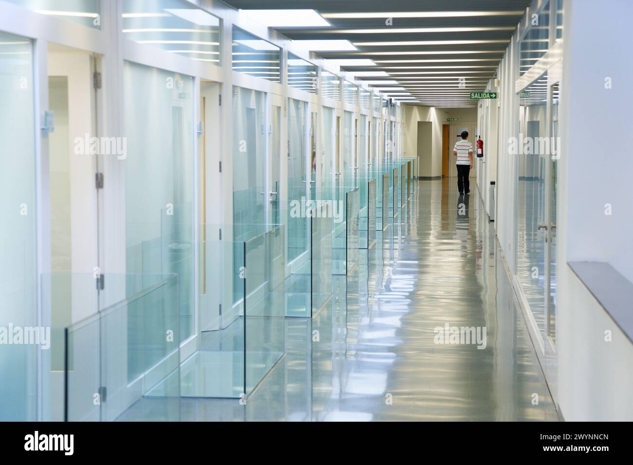 Büro Halle CEIT Zentrum für Studien und technische Forschung Universität Navarra, Donostia, Gipuzkoa, Baskenland, Spanien. Stockfoto