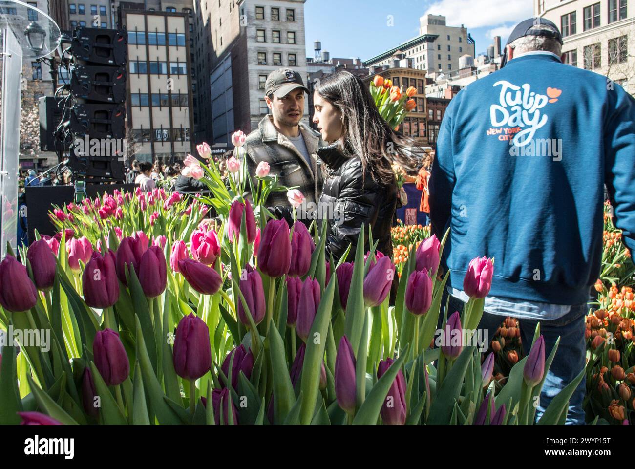 7. April 2024, New York City, New York, USA: Die Leute nehmen am Tulip Day New York City Event im Union Square Park Teil, wo die Teilnehmer von EASH teilnehmen durften. Zehn Tulpen kostenlos mitnehmen. (Kreditbild: © Billy Tompkins/ZUMA Press Wire) NUR REDAKTIONELLE VERWENDUNG! Nicht für kommerzielle ZWECKE! Stockfoto