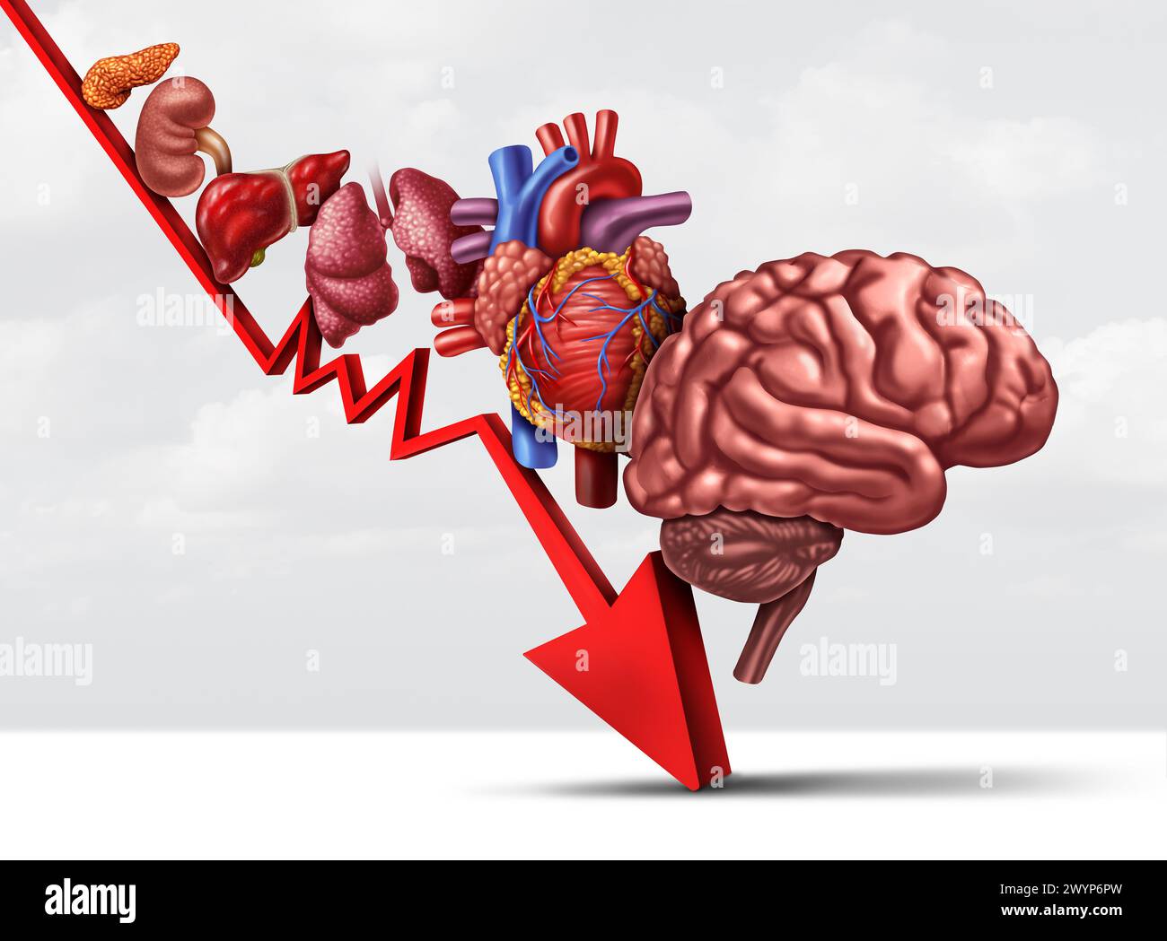 Abnehmende menschliche Gesundheit und Alterungsprozess von Organen als abnehmende Funktion der Herzlunge Niere Pankreas und Gehirn als Gesundheits- oder Gesundheitszentrum Stockfoto