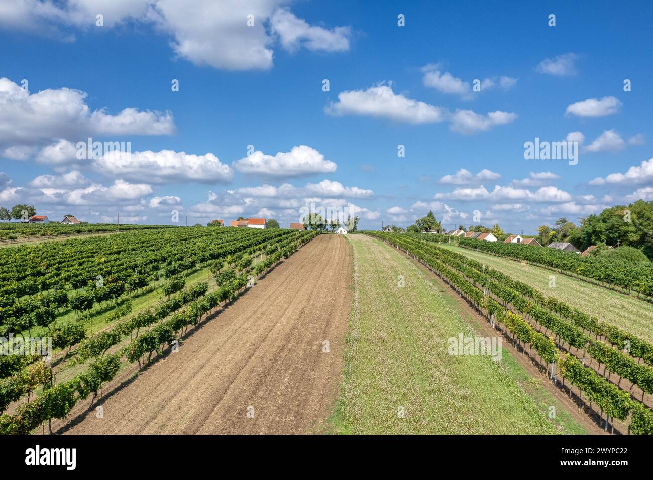 Walterskirchen Poysdorf Weinviertel Luftbild Bezirk Mistelbach Kellergasse Weinkeller Kellergasse am Neugebäude Stockfoto