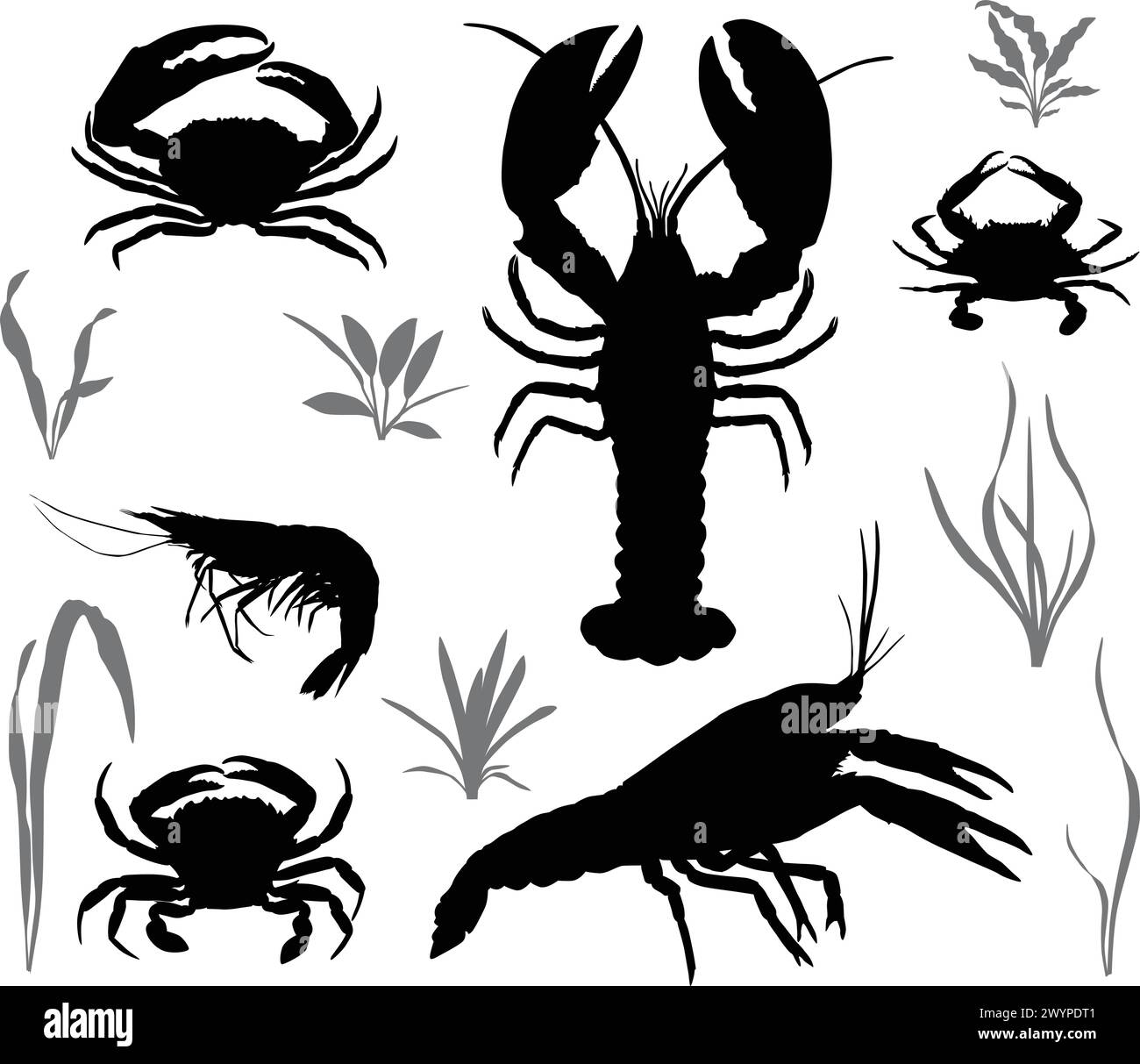 Silhouetten von vier Arten von Krebstieren: Krebse, Hummer, Krabben und Garnelen Stock Vektor