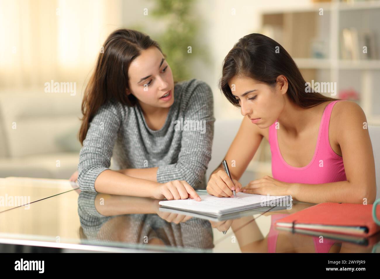 Privatlehrer erklärt einem Schüler zu Hause den Unterricht Stockfoto