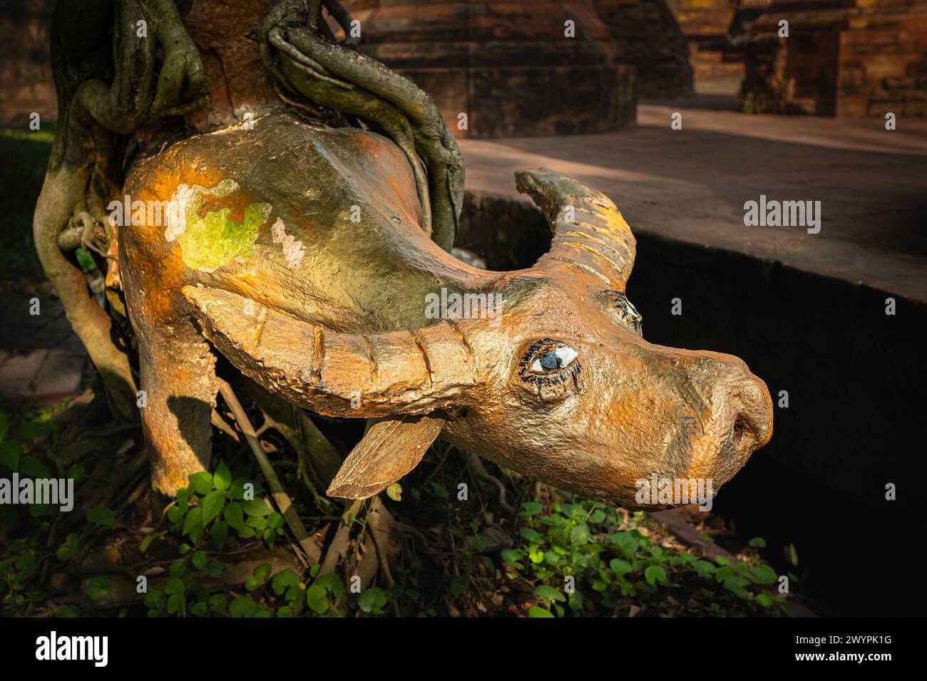 Eine Büffelstatue auf dem Boden im Garten. Büffelholzstatue auf Gras, asiatischer Garten, Dekor. Niemand, selektiver Fokus Stockfoto