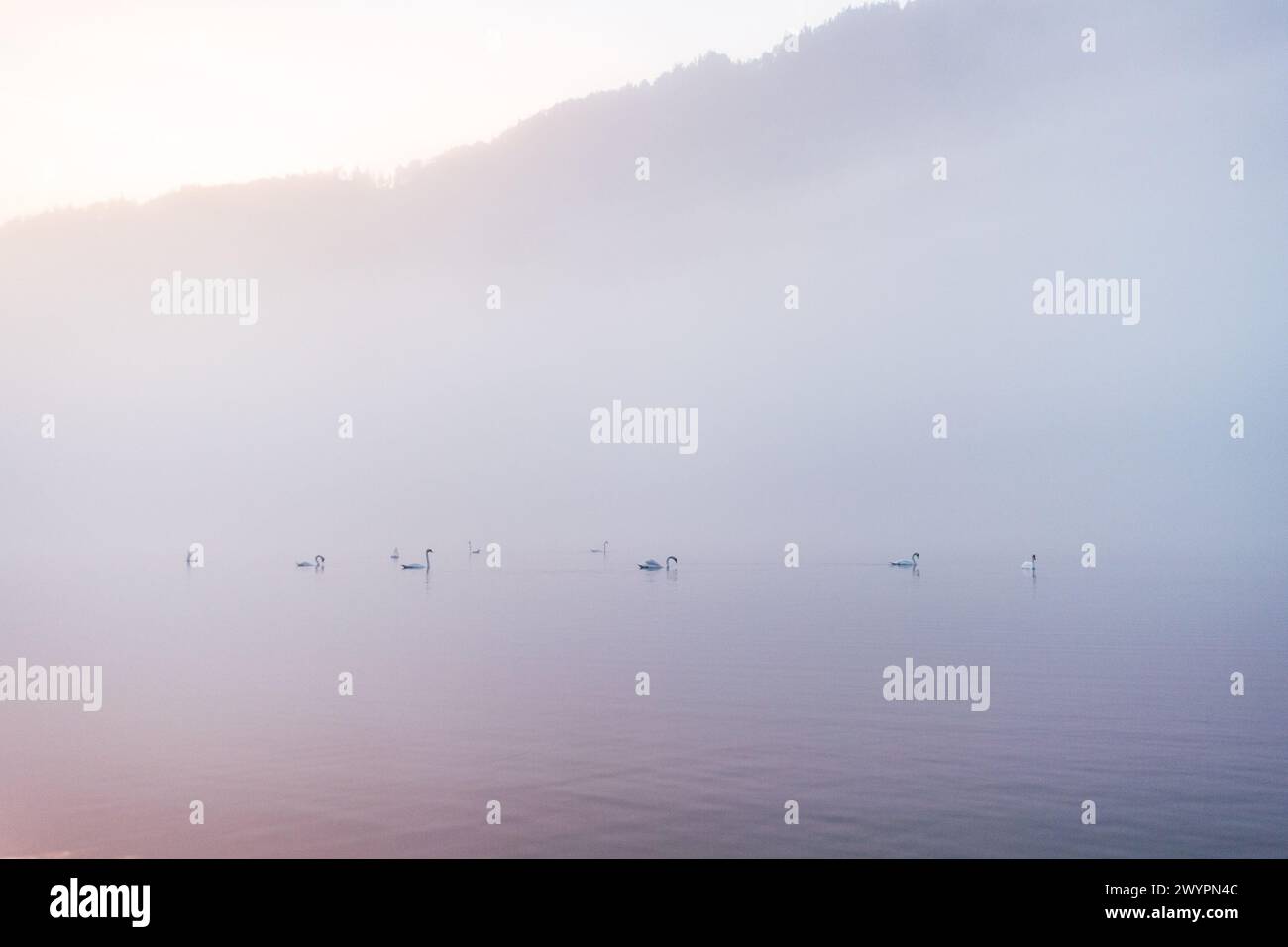 Morgenstimmung mit Nebel am Almsee im Almtal im Salzkammergut, Oberösterreich, Österreich am 14.08.2020. // Morgenstimmung mit Nebel am Almsee im Almtal im Salzkammergut, Oberösterreich, Österreich am 14. August 2020. - 20200813 PD13635 Credit: APA-PictureDesk/Alamy Live News Stockfoto