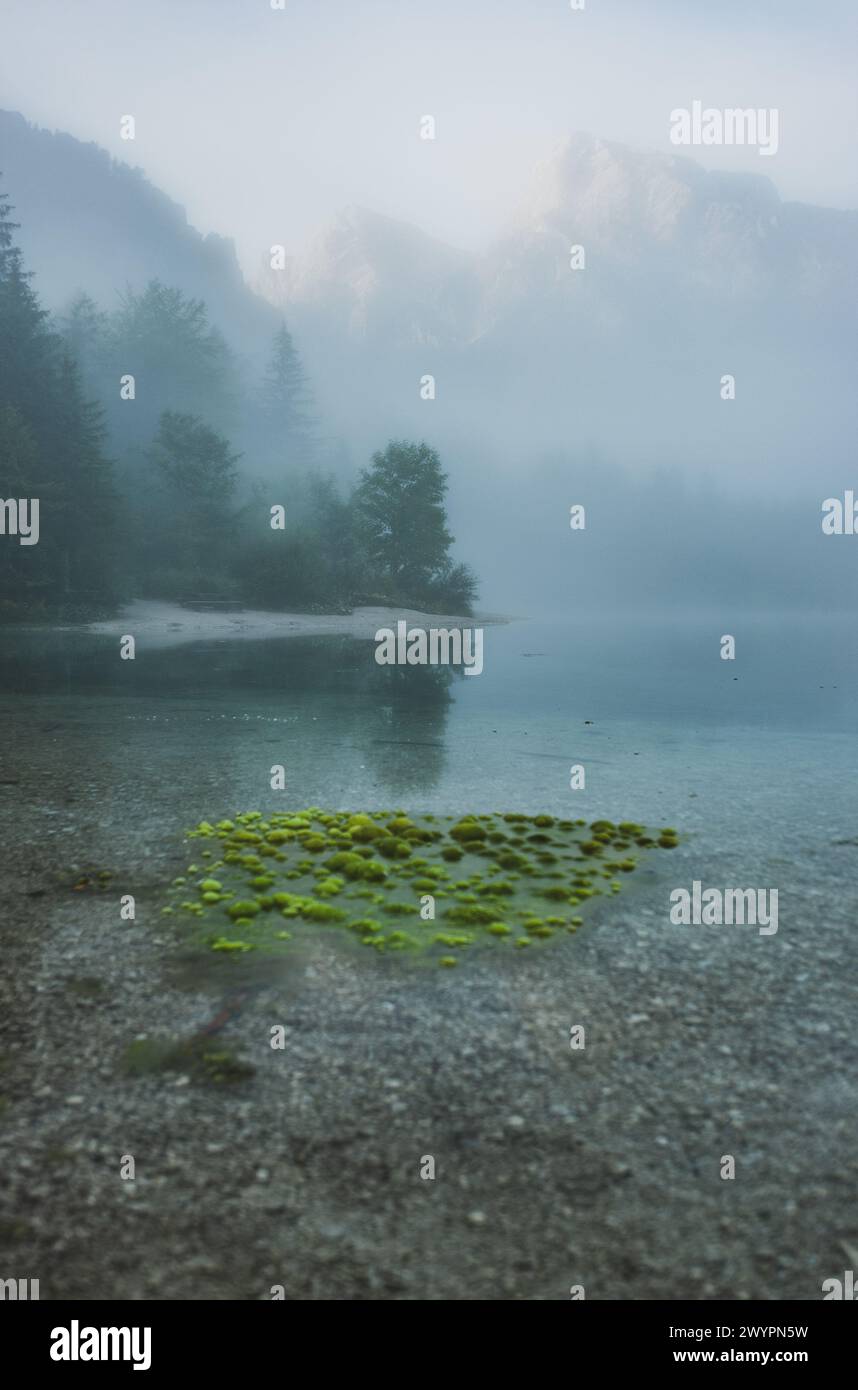 Morgenstimmung mit Nebel am Almsee im Almtal im Salzkammergut, Oberösterreich, Österreich am 14.08.2020. // Morgenstimmung mit Nebel am Almsee im Almtal im Salzkammergut, Oberösterreich, Österreich am 14. August 2020. - 20200813 PD13631 Credit: APA-PictureDesk/Alamy Live News Stockfoto