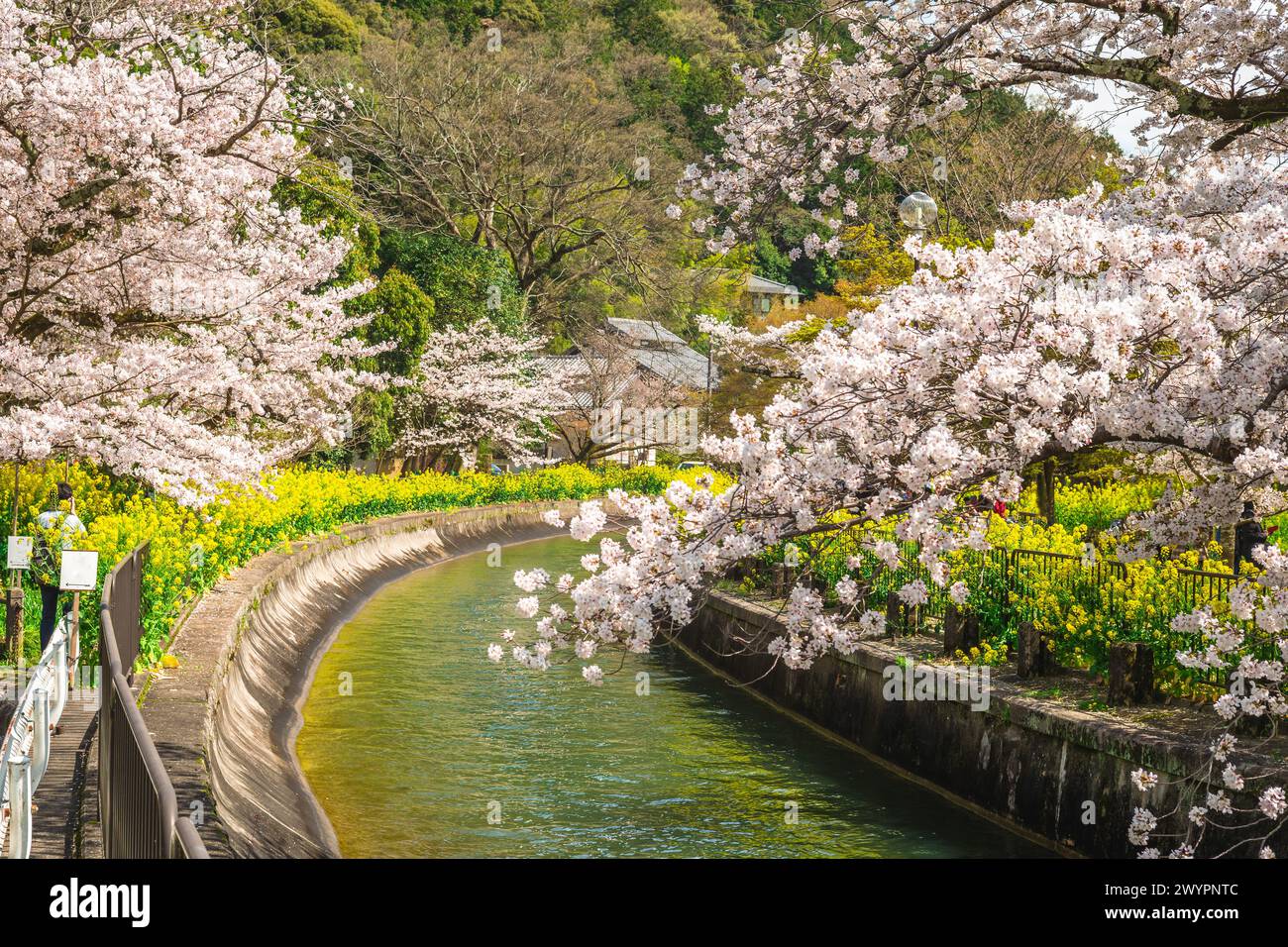 Yamashina Canal, ein Teil des Lake Biwa Canal im Bezirk Yamashina, Shiga, Japan Stockfoto