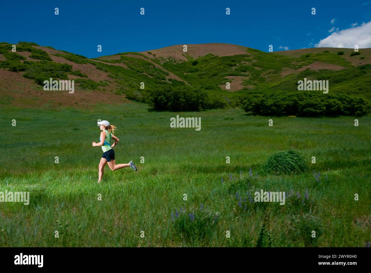 Frauen-Trailrunning in Utah. Stockfoto