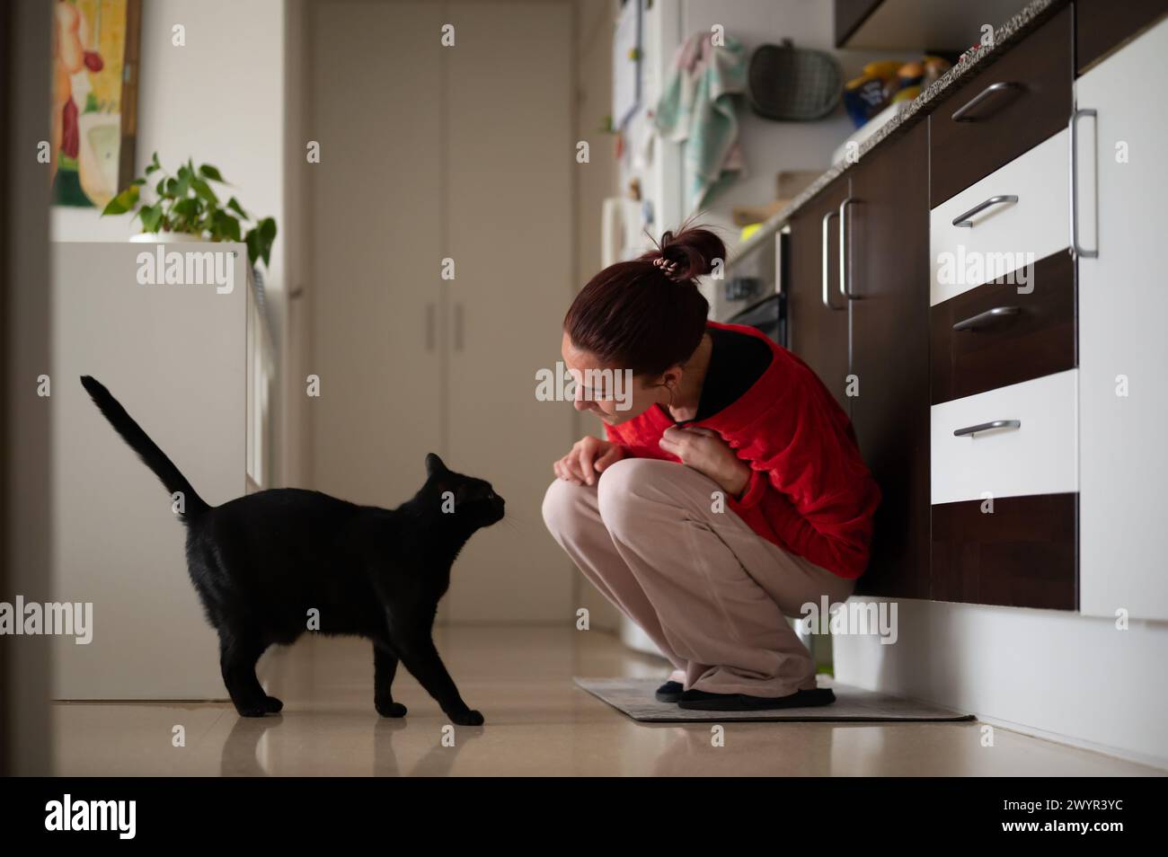 Frau spielt mit schwarzer Katze in der Küche zu Hause Stockfoto