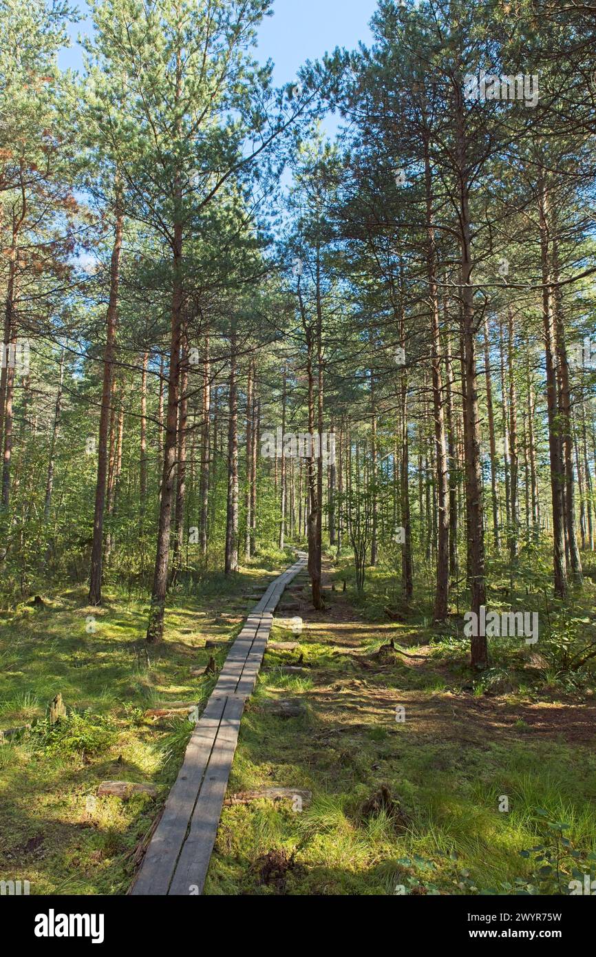 Holzduschen am Slåttmossen (Oasensumpf) Naturschutzgebiet Wanderweg im Sommer, Jakomäki, Helsinki, Finnland. Stockfoto