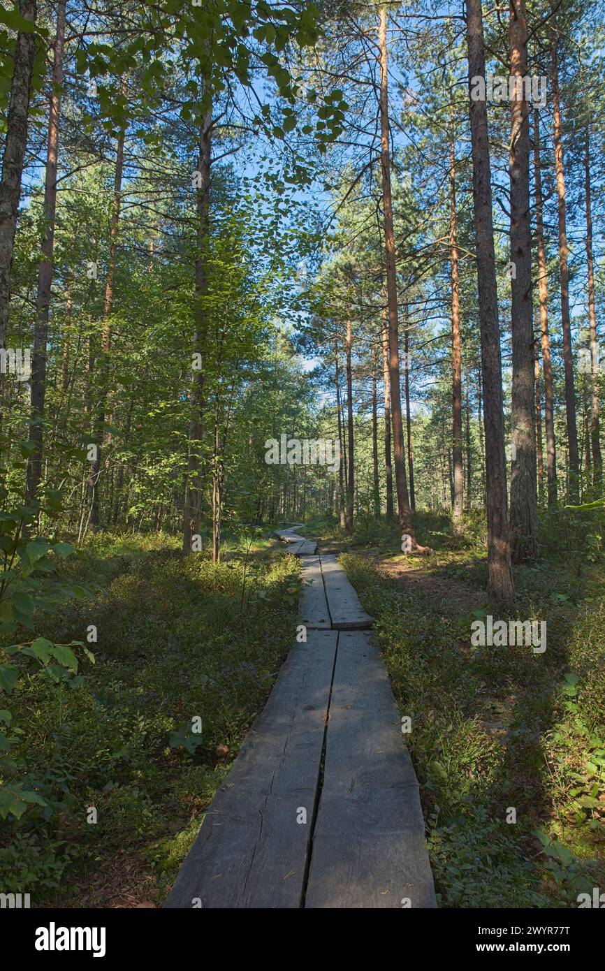Holzduschen am Slåttmossen (Oasensumpf) Naturschutzgebiet Wanderweg im Sommer, Jakomäki, Helsinki, Finnland. Stockfoto