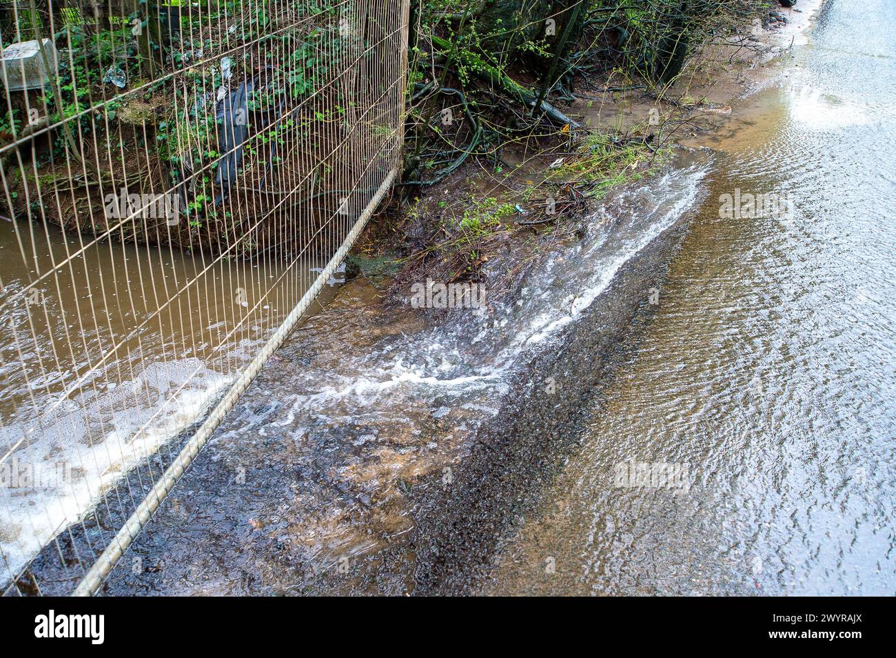 Harefield, Großbritannien. April 2024. Das Wasser fließt über eine Landstraße in Harefield in der Nähe der Stelle, an der HS2 das High Speed Rail Viaduct für die High Speed Rail von London nach Birmingham bauen wird. HS2 hat Felder ausgegraben, zahlreiche Bäume gefällt und Hecken zerstört. Die Wasserstraßen, an denen HS2 arbeitet, müssen neue Routen finden, von denen die Einheimischen glauben, dass sie die Überschwemmungen in West London und den Chilterns verschärfen. Quelle: Maureen McLean/Alamy Live News Stockfoto